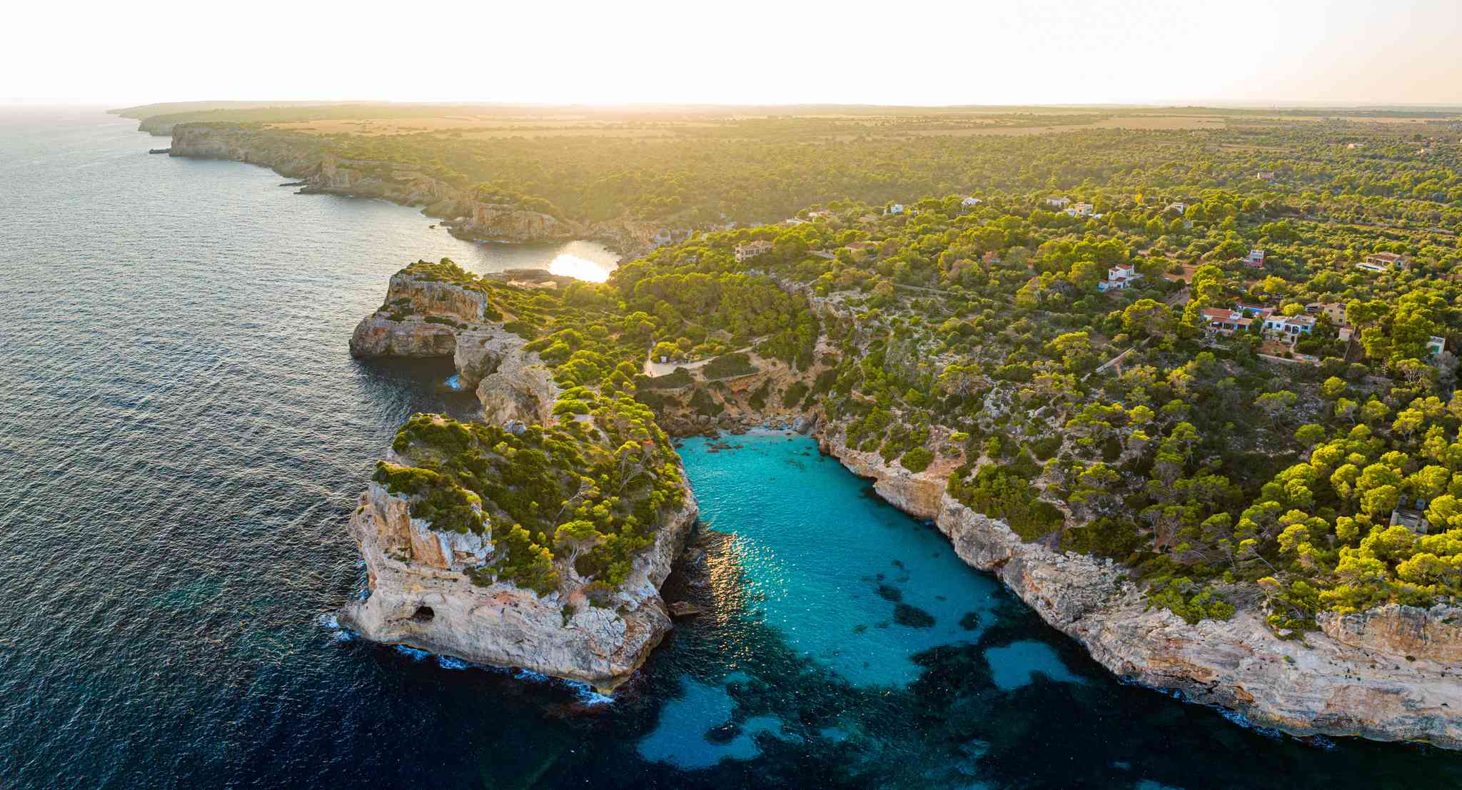 Blick auf die Landschaft von Palma de Mallorca - private Tagesreise von Calo des Moro - Foto 8