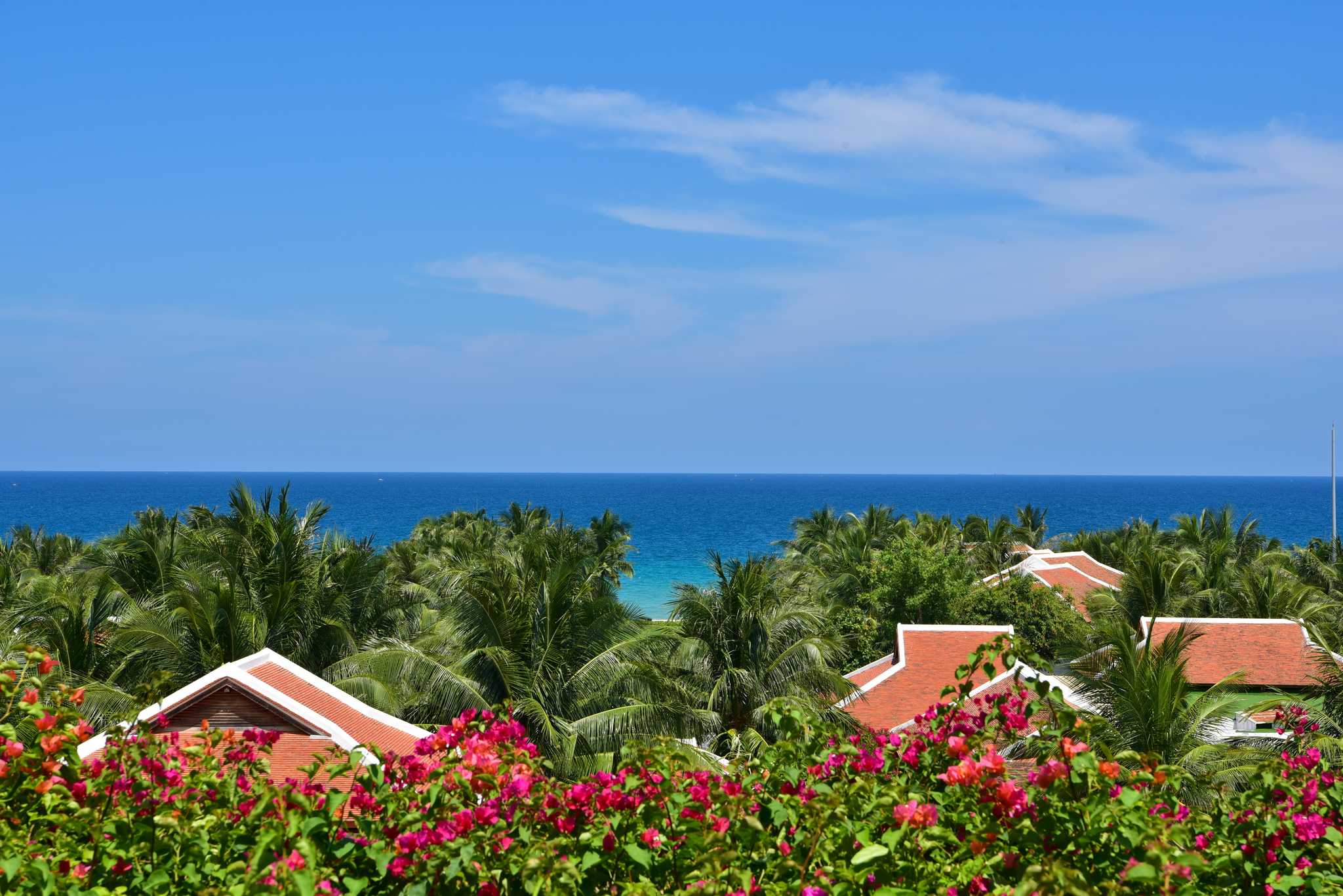 Cam Ranh International Airport 에서 프라이빗 차 전송 서비스 - 베트남 의 Cam Ranh International Airport 경치.