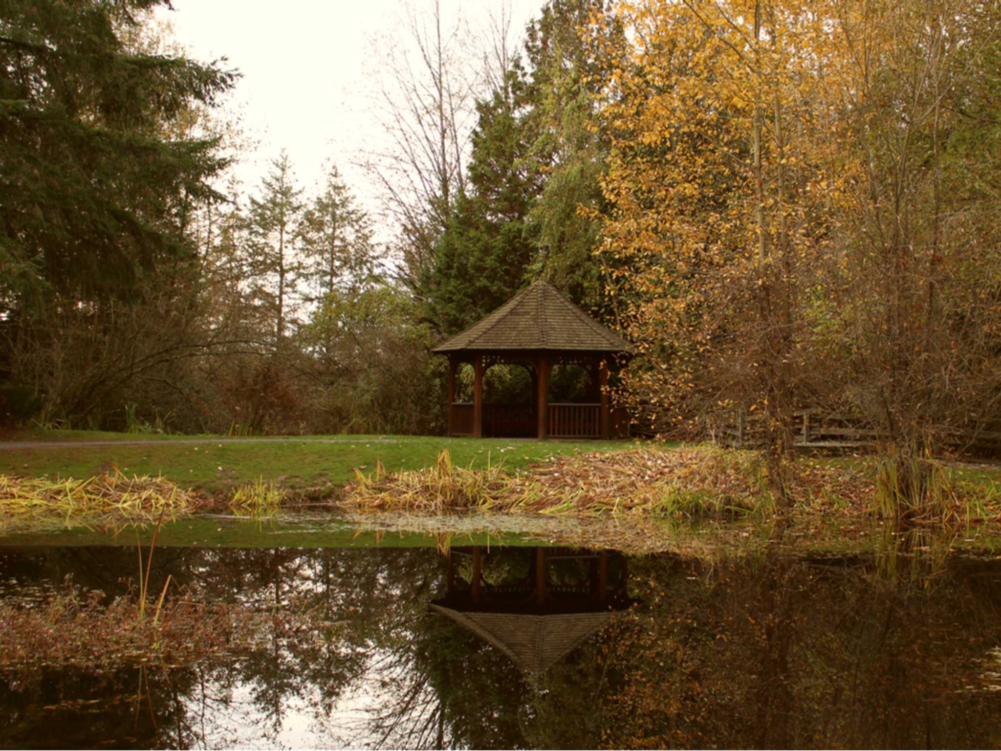 Visit Campbell Valley Regional Park on the way from vancouver-ca to seattle-wa-us with Daytrip