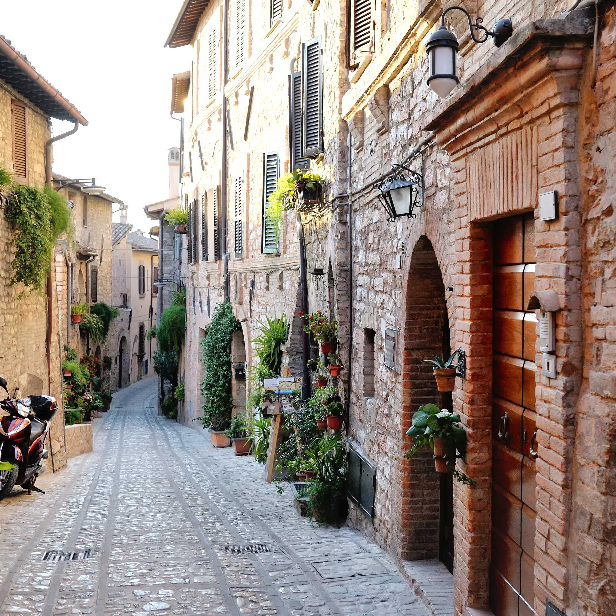 Cannara