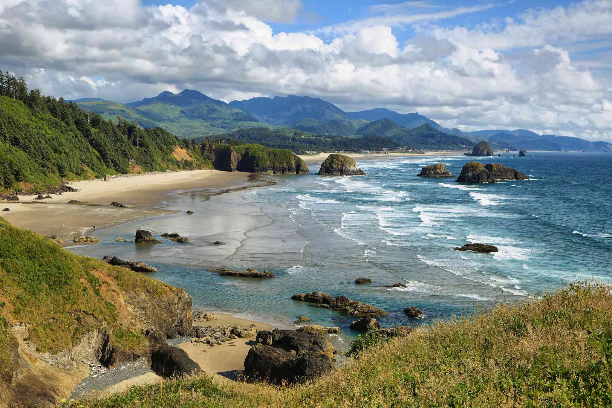Vacker vy över Vancouver - privat dagsutflykt från Cannon Beach, OR - foto 5