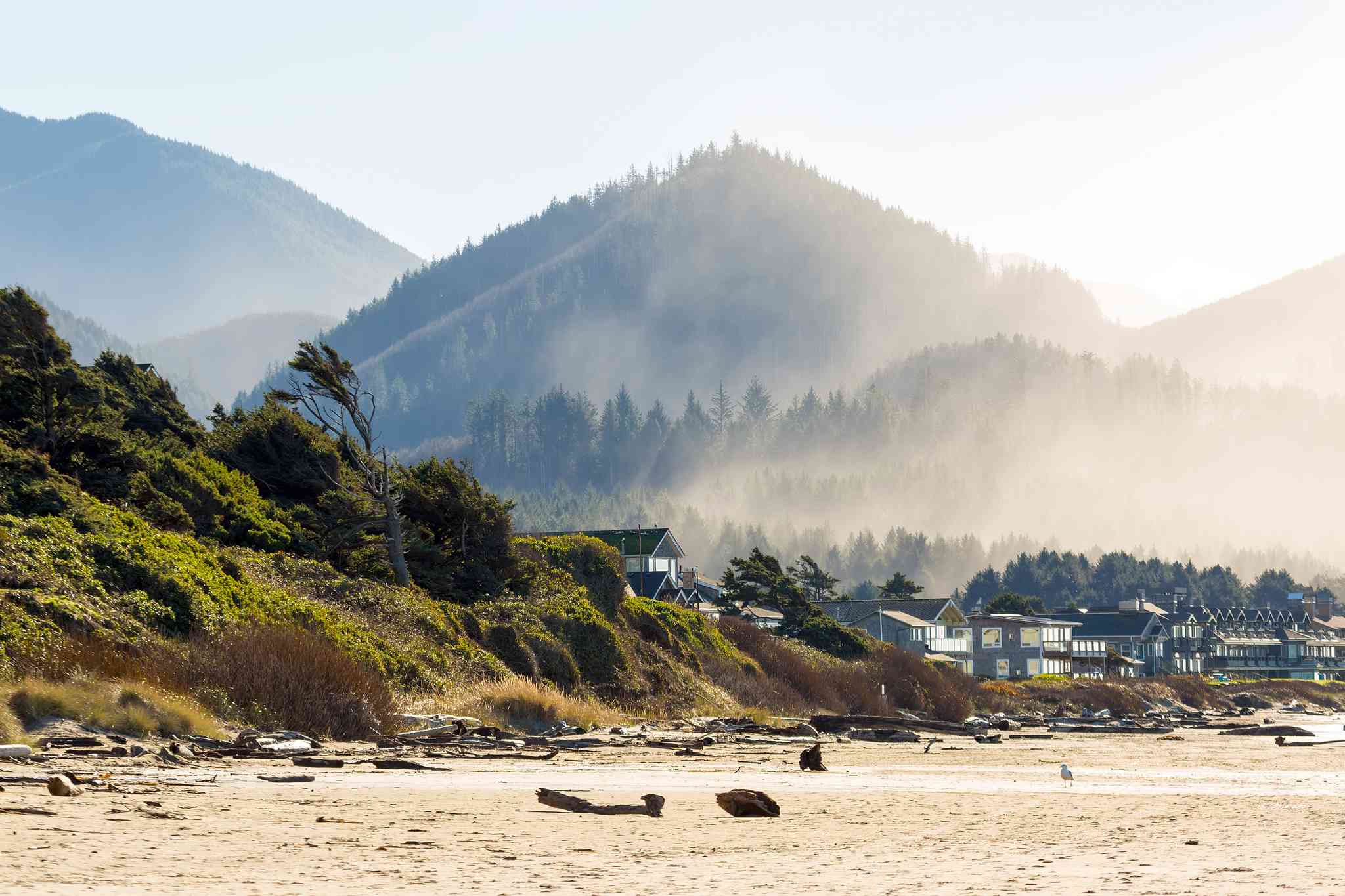 Vacker vy över Vancouver - privat dagsutflykt från Cannon Beach, OR - foto 7