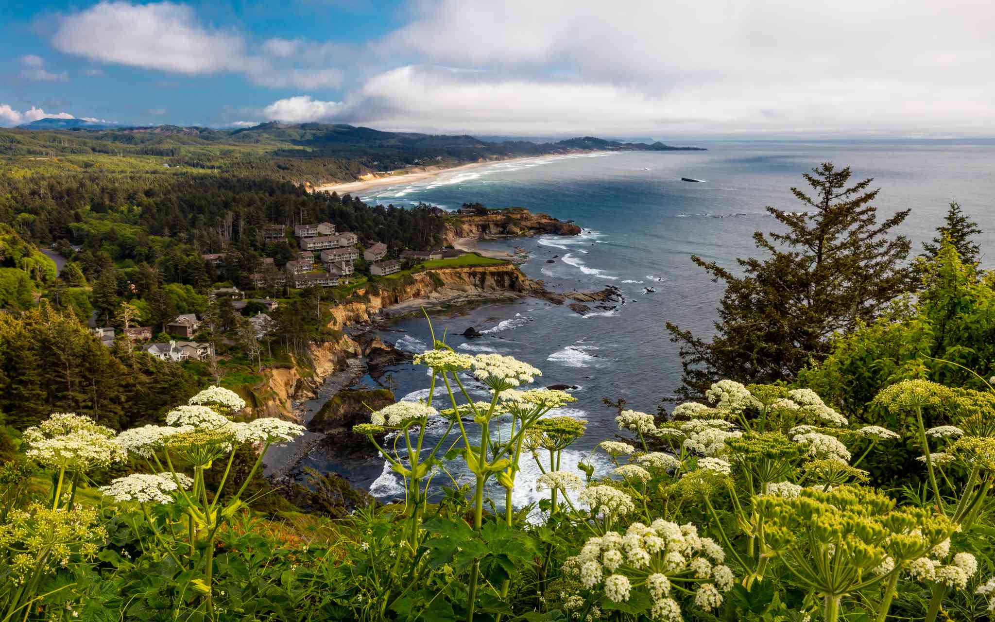 Vacker vy över Vancouver - privat dagsutflykt från Cannon Beach, OR - foto 8