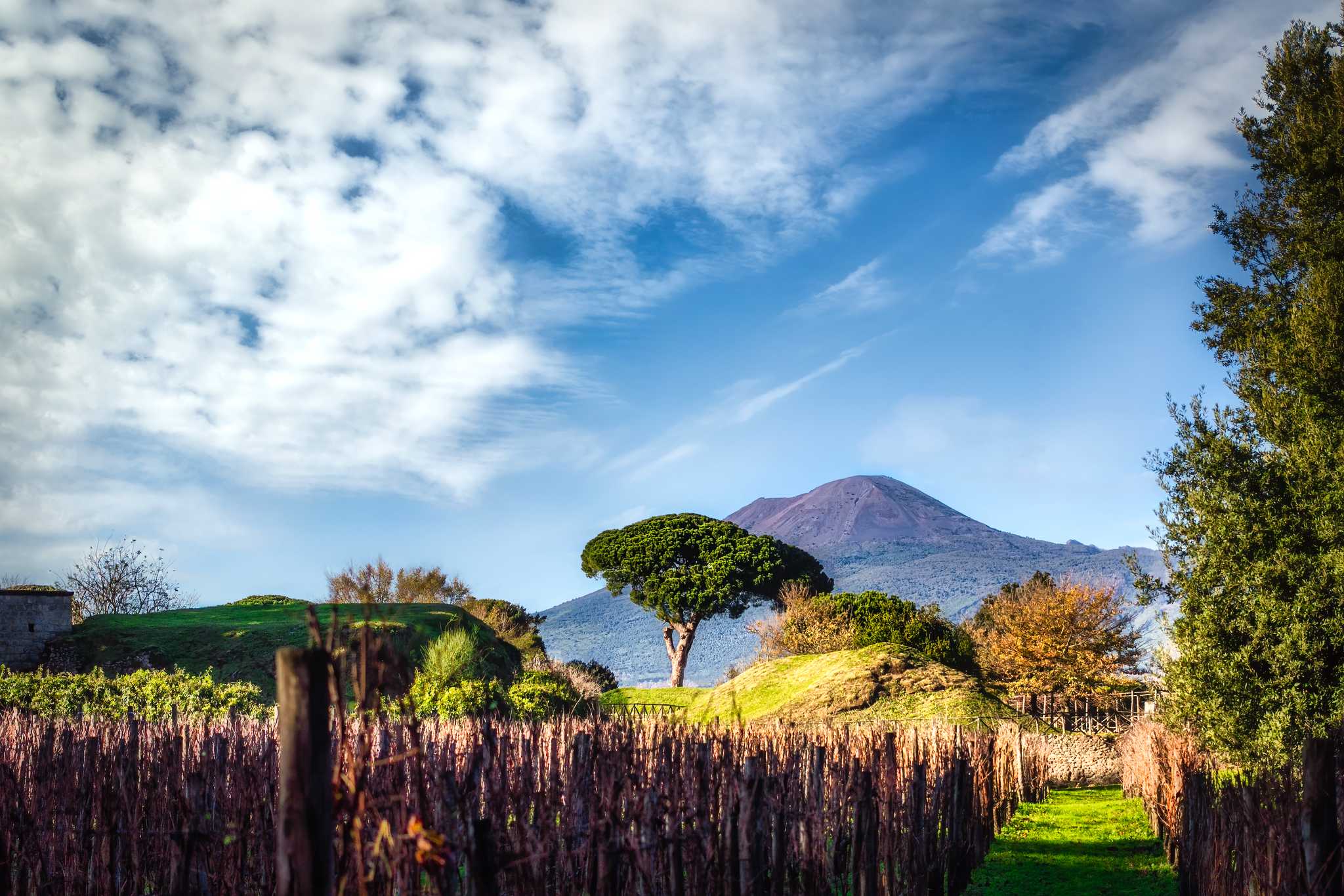 Naples to Campania cuisine highlights: Private day trip