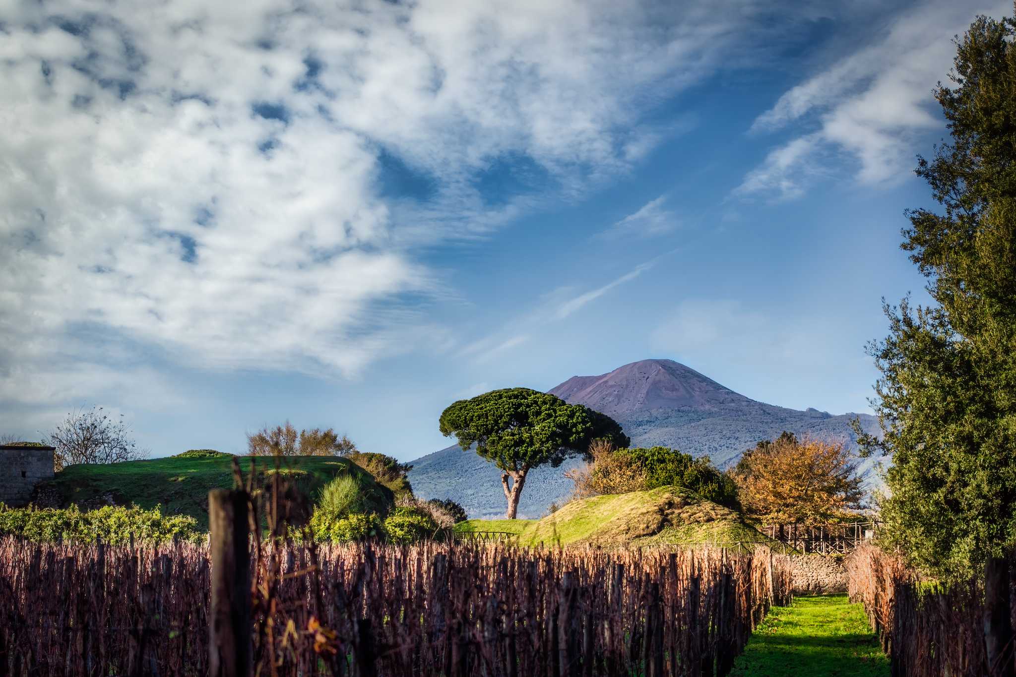 Besuchen Sie Cantina del Vesuvio auf dem Weg von naples-it nach sorrento-it mit Daytrip