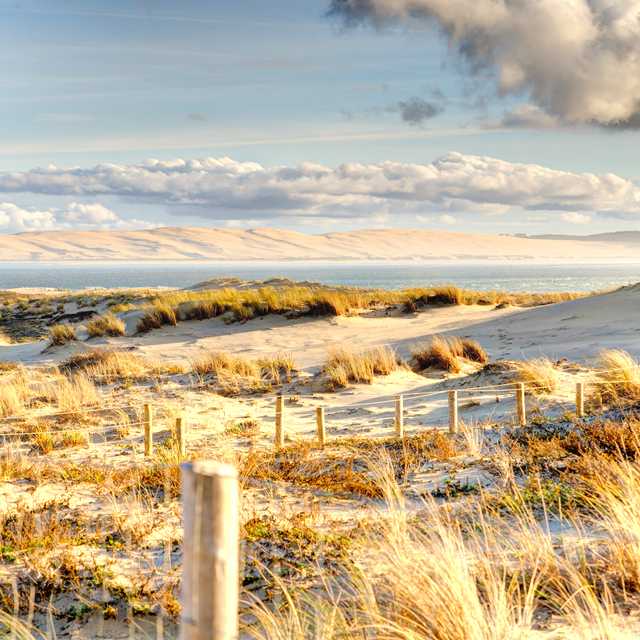 Bordeaux to Arcachon and Cap Ferret: Private day trip