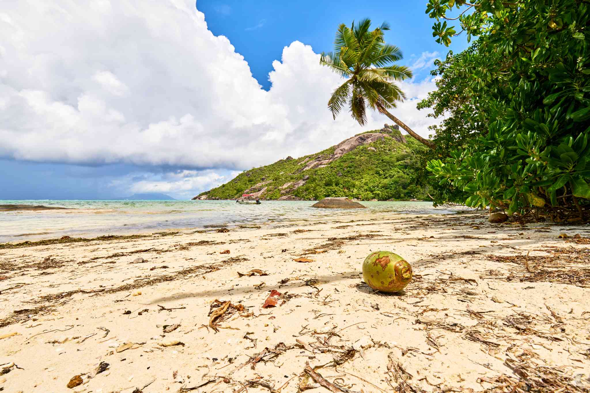 Blick auf die Landschaft von Cap Ternai, Seychelles - private Tagesreise von Victoria - Foto 3