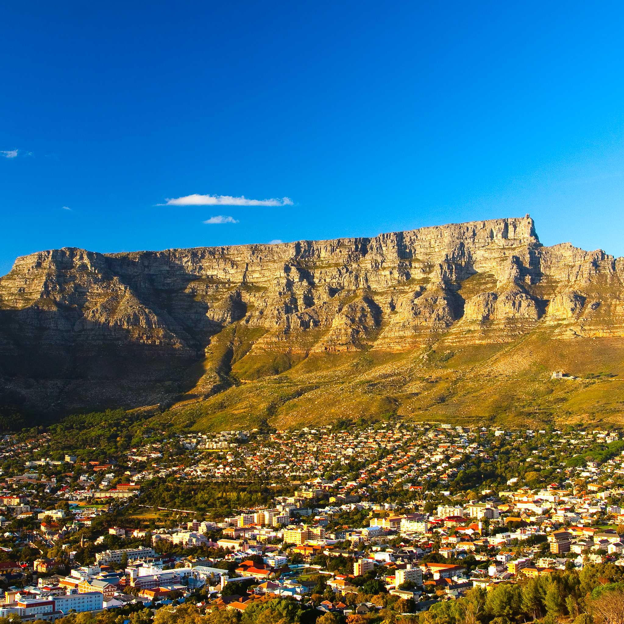 Private car transfers in South Africa from Cape Town