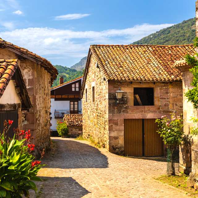 Malaga to Seville and Carmona: Private day trip