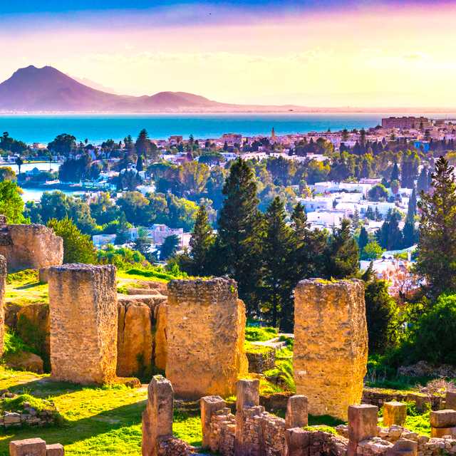 Tunis to Carthage and Uthina: Private day trip