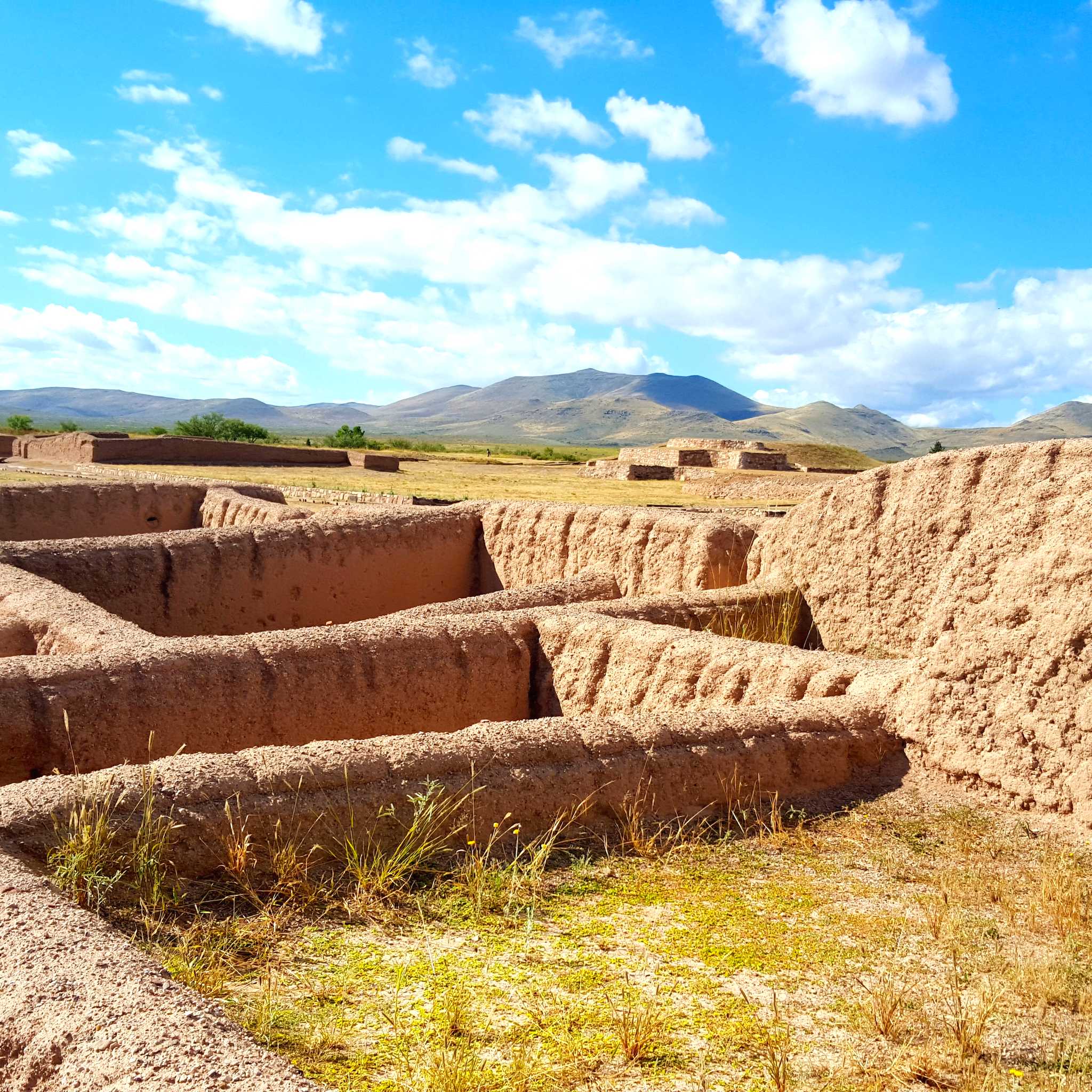 Casas Grandes