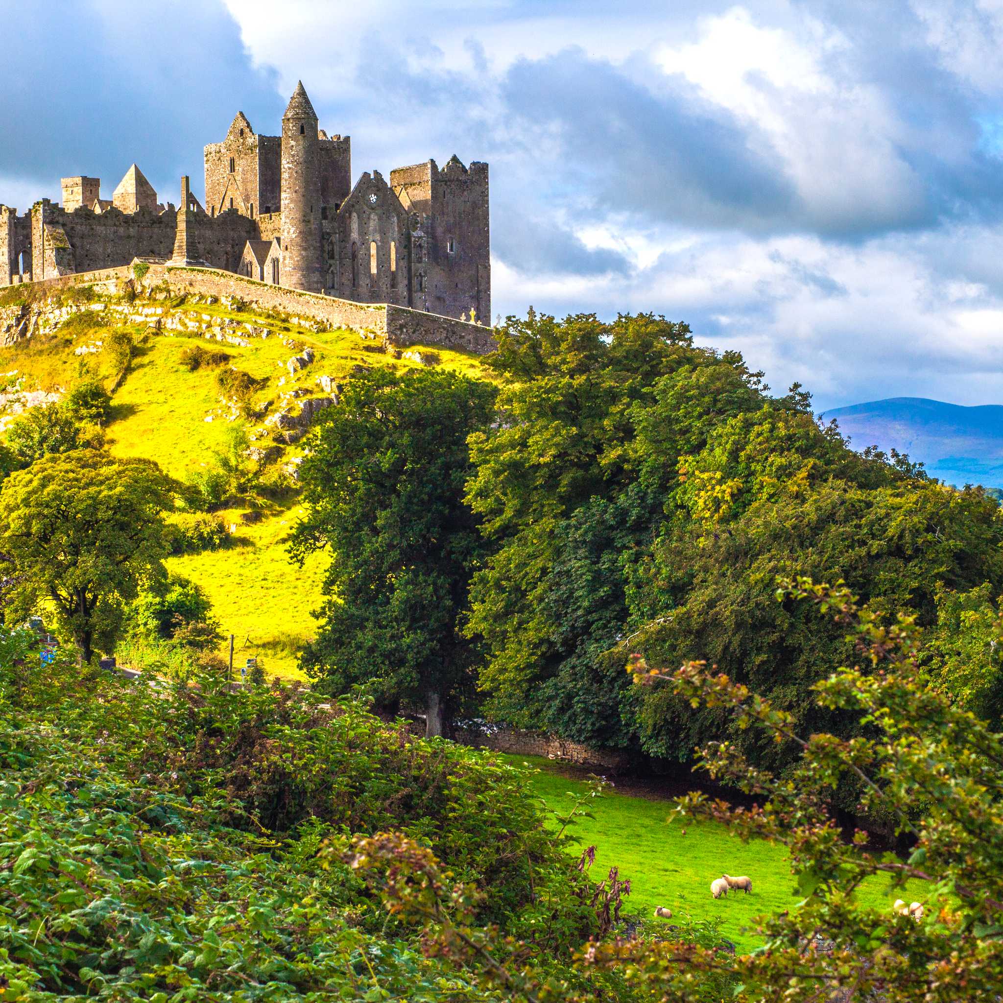 Cashel