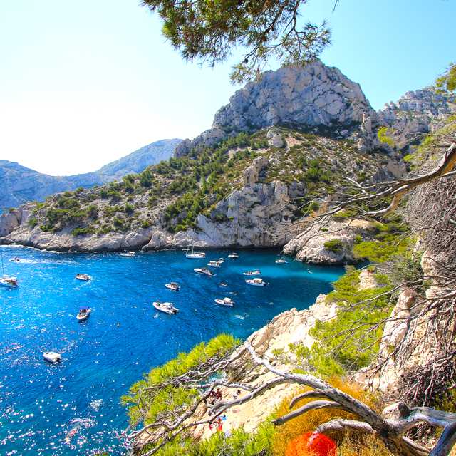 Marseille to Cassis and La Ciotat: Private day trip