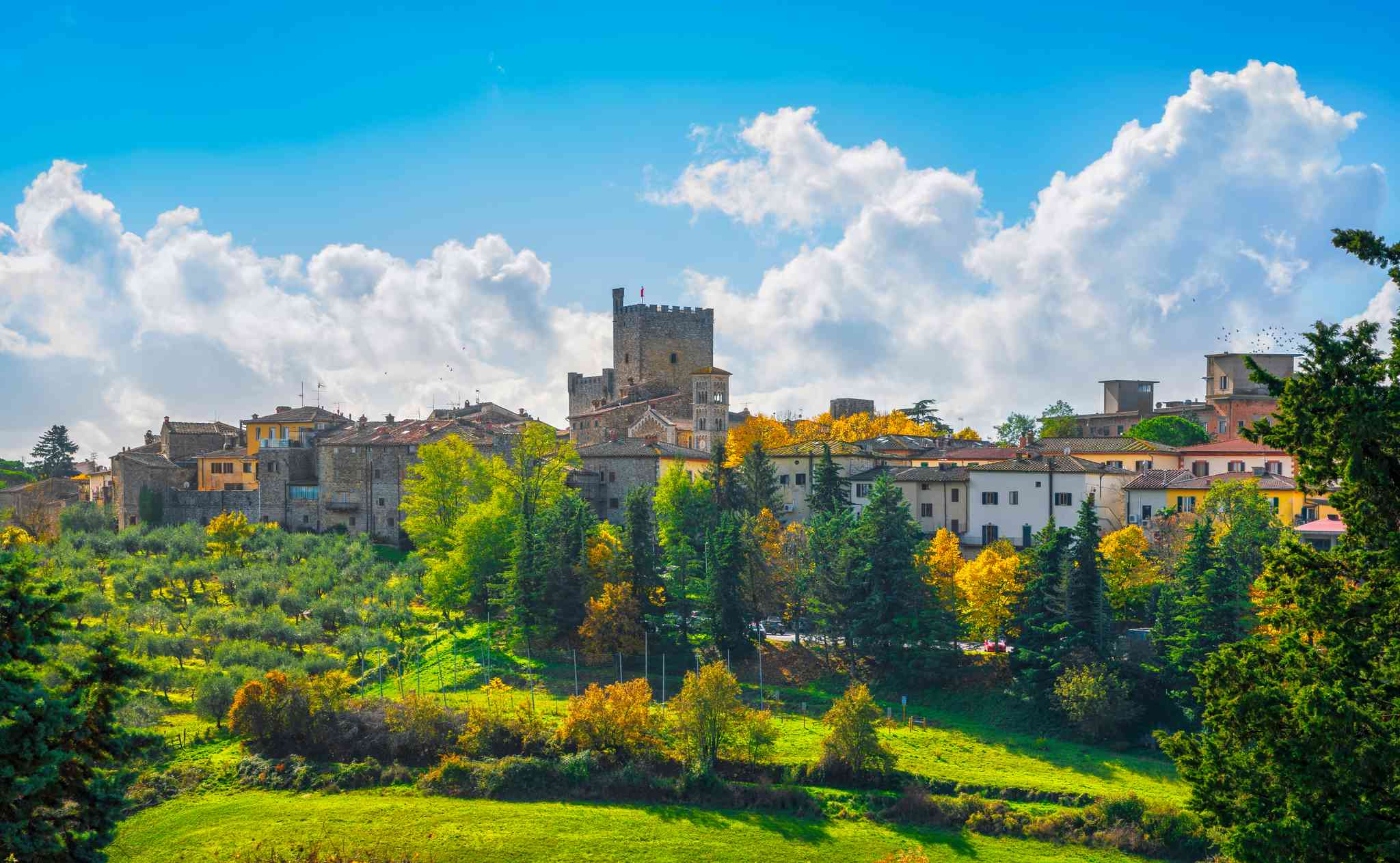 Vue pittoresque de Castellina in Chianti - excursion privée d'une journée depuis Rome - City Center - photo 3