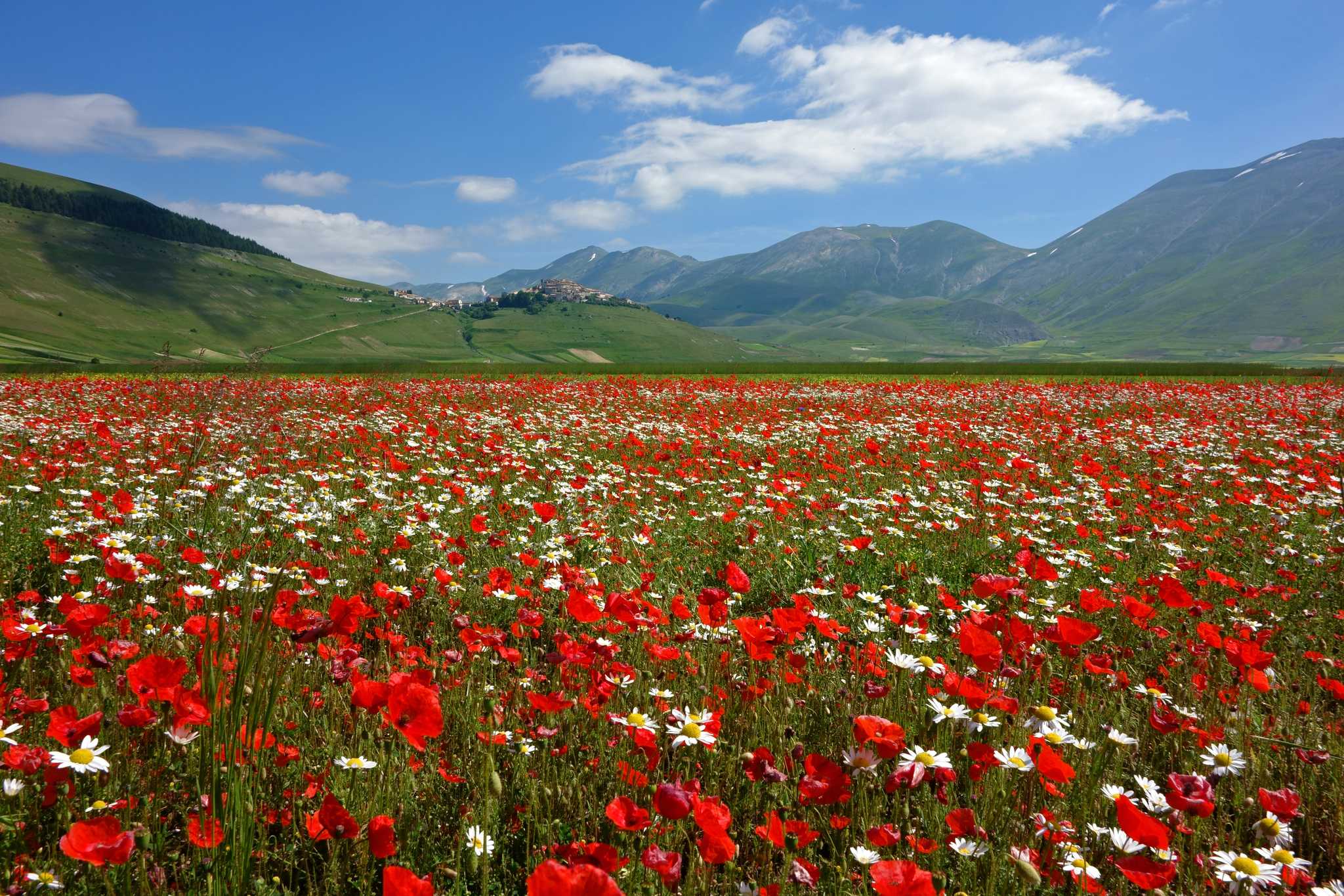 Parada no itinerário em Castelluccio di Norcia em viagem particular de um dia a partir de Rome
