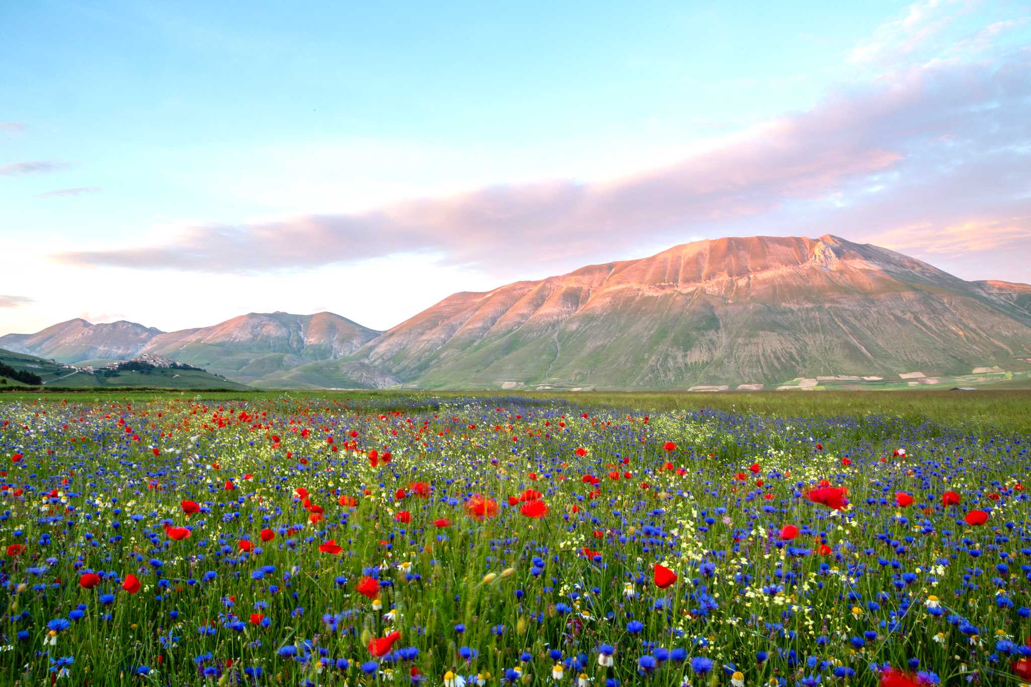 Opção de excursão privada de um dia de Rome