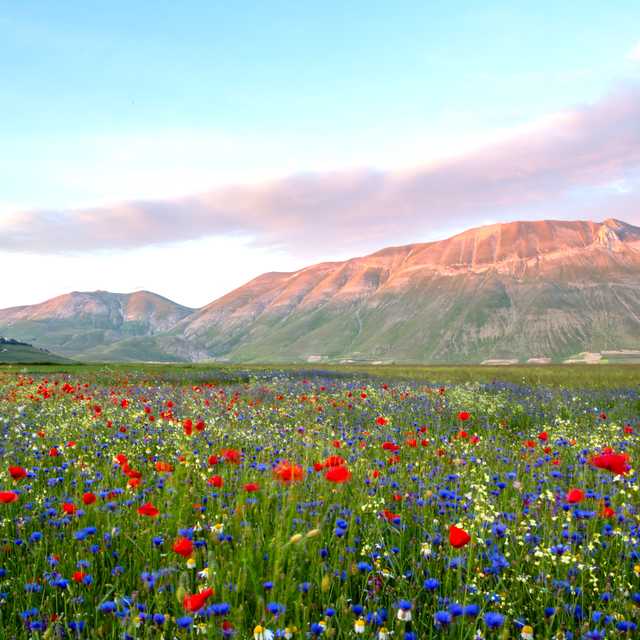 Rome to Castelluccio: Private day trips