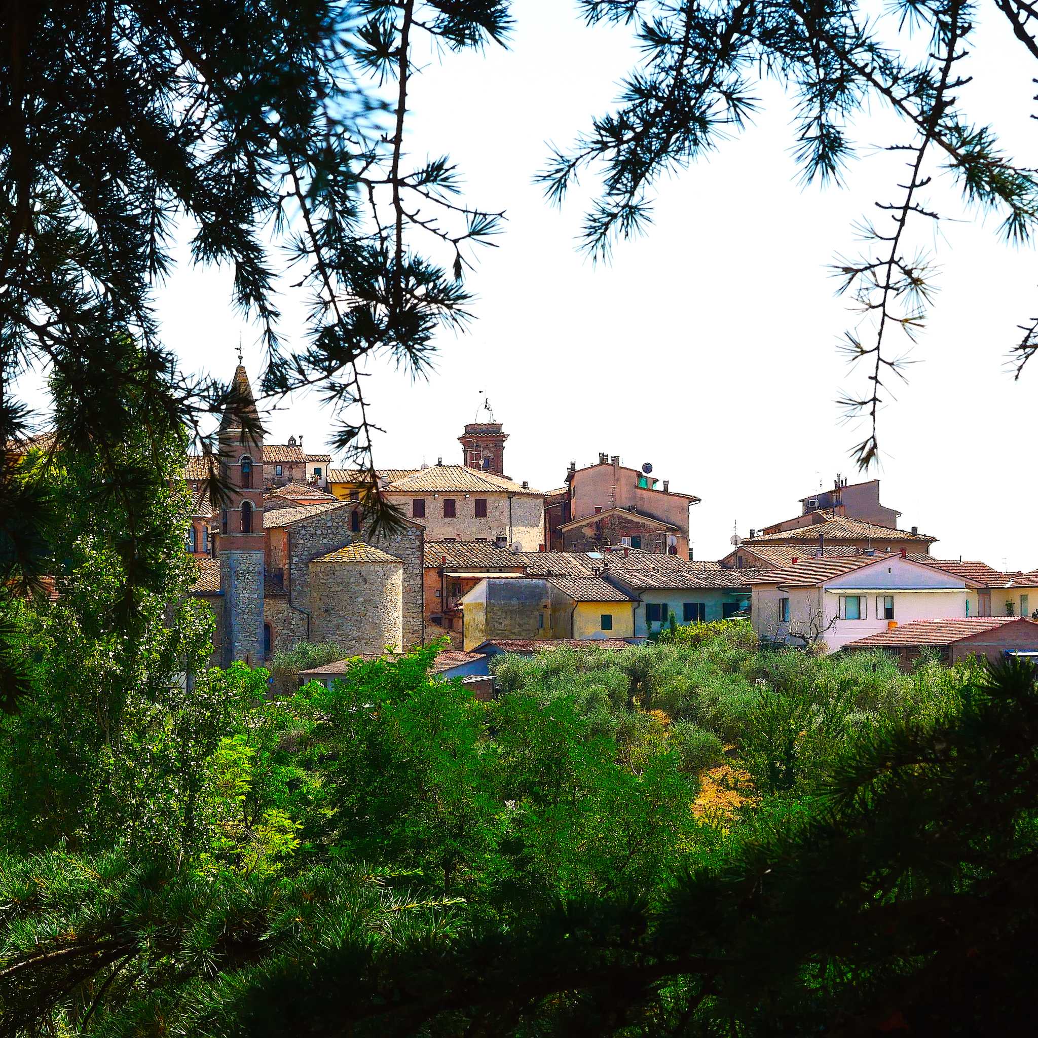 Castelnuovo Berardenga