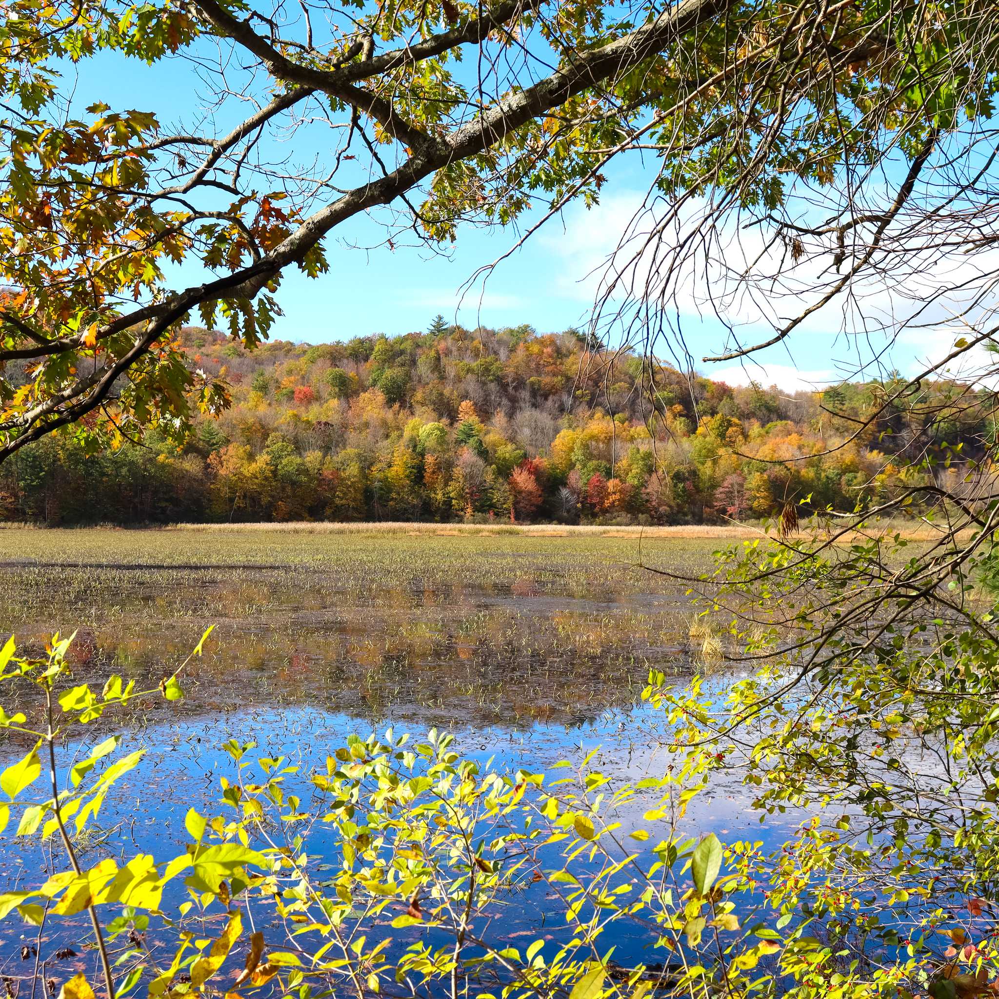 Castleton, VT