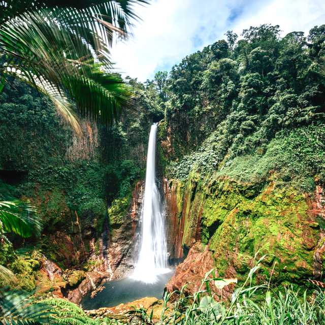 La Fortuna day trip to butterfly gardens and Blue Falls