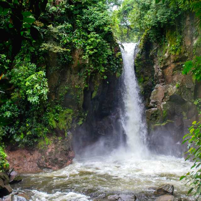 Limon to Catarata Las Golondrinas and Turrialba: Day trip