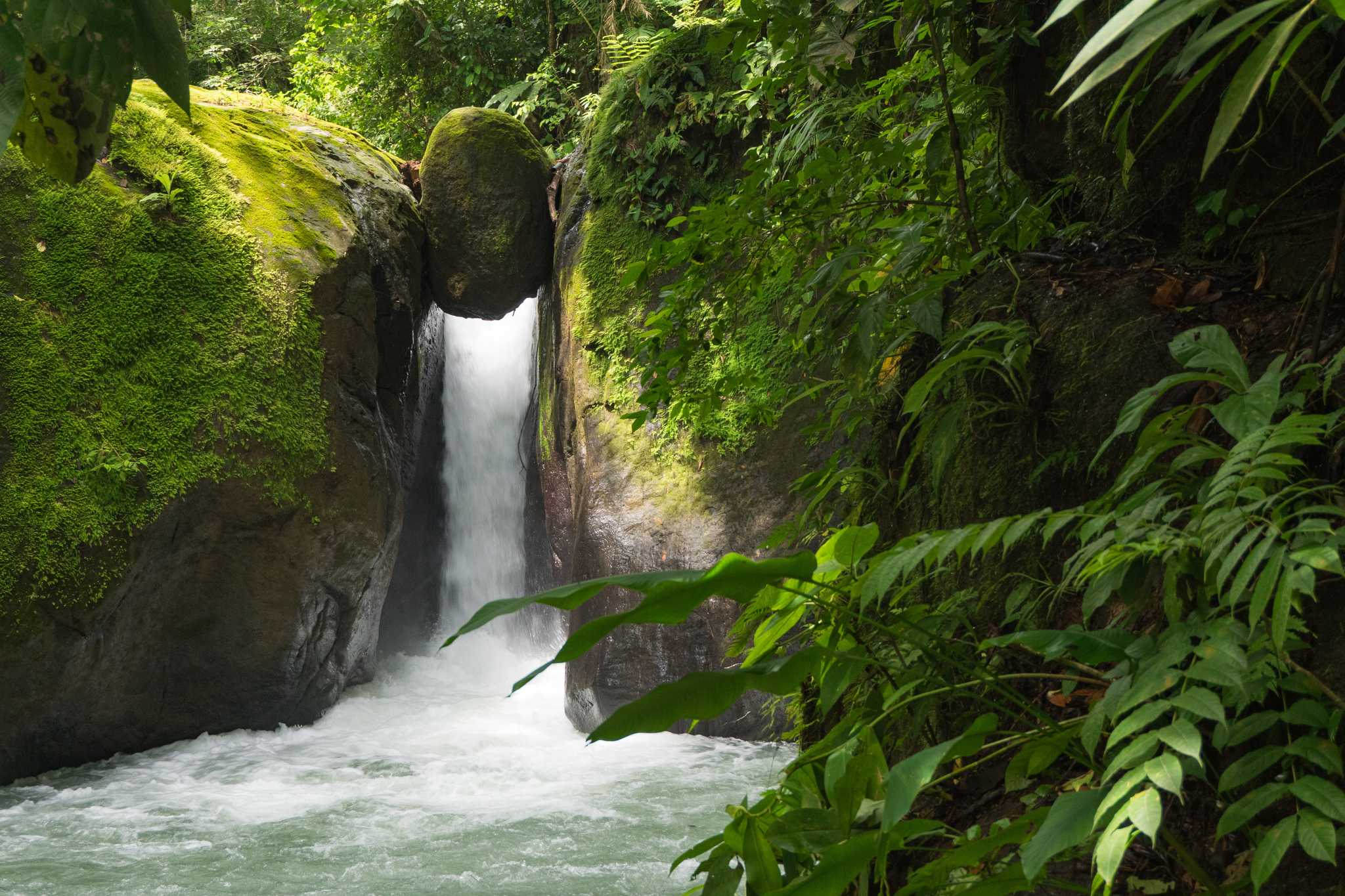 Parada del itinerario en Catarata Uvita en excursión privada desde San Jose