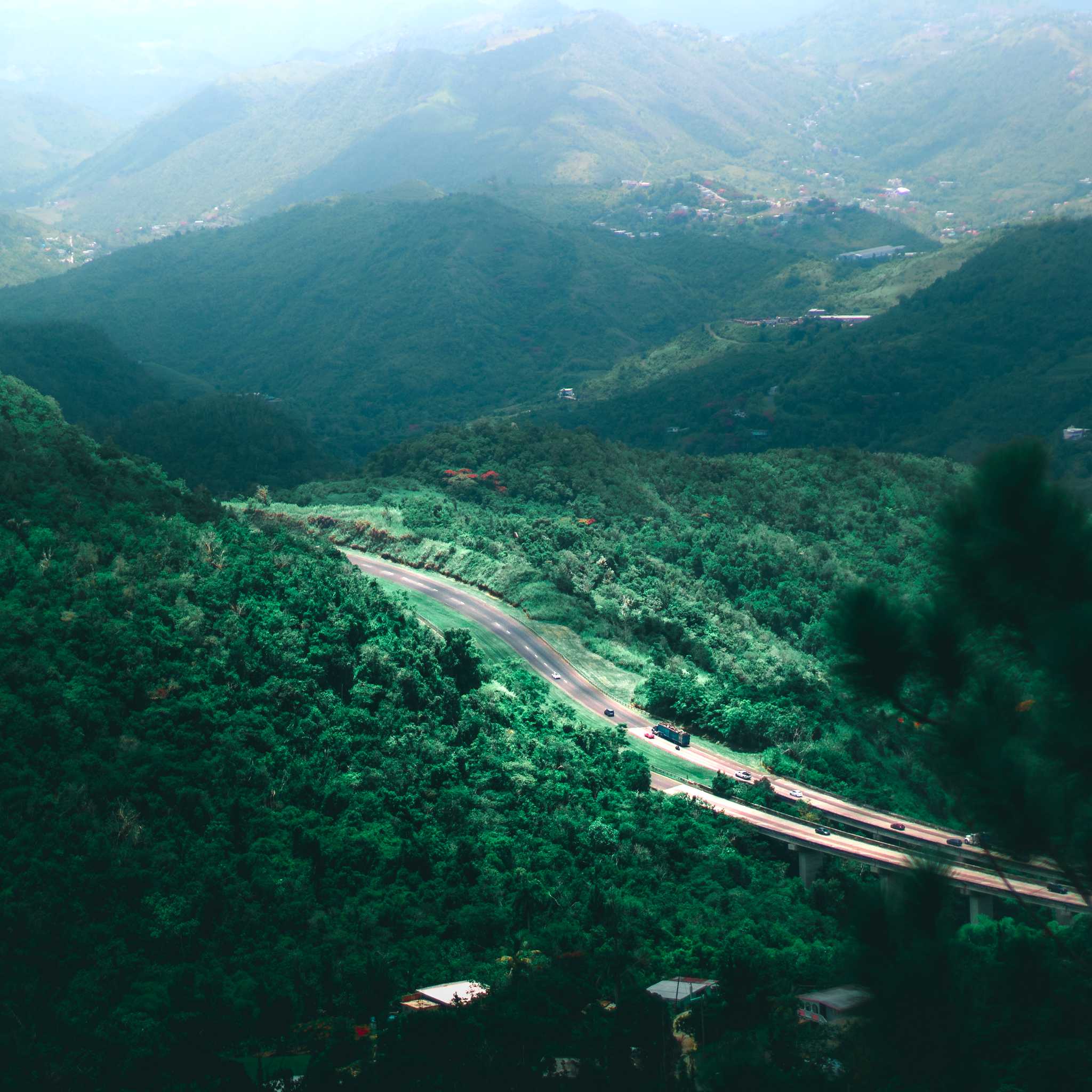 Cayey