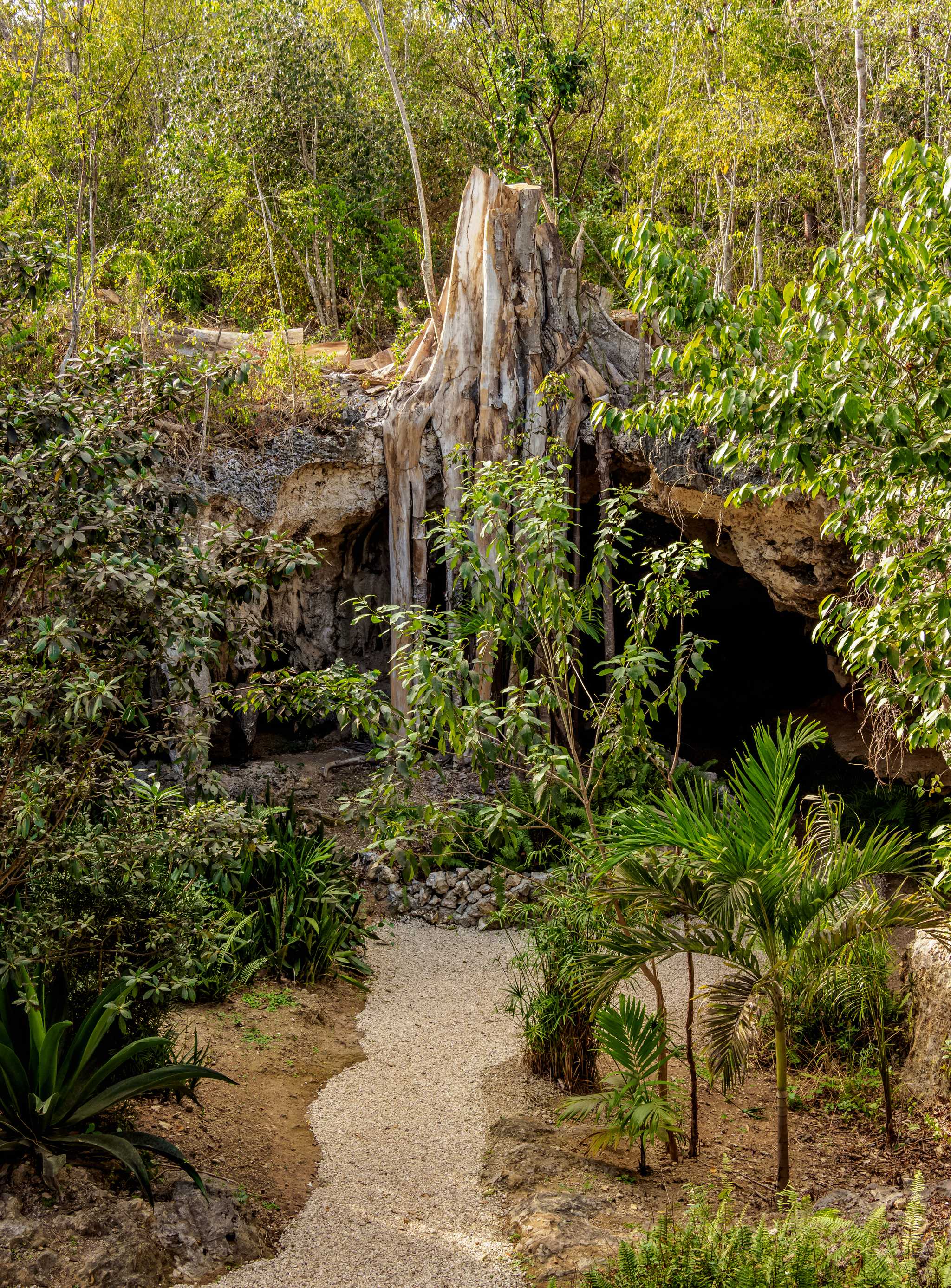 ArrĂȘt de l'itinĂ©raire Ă Cayman Crystal Caves lors d'une excursion privĂ©e d'une journĂ©e depuis George Town