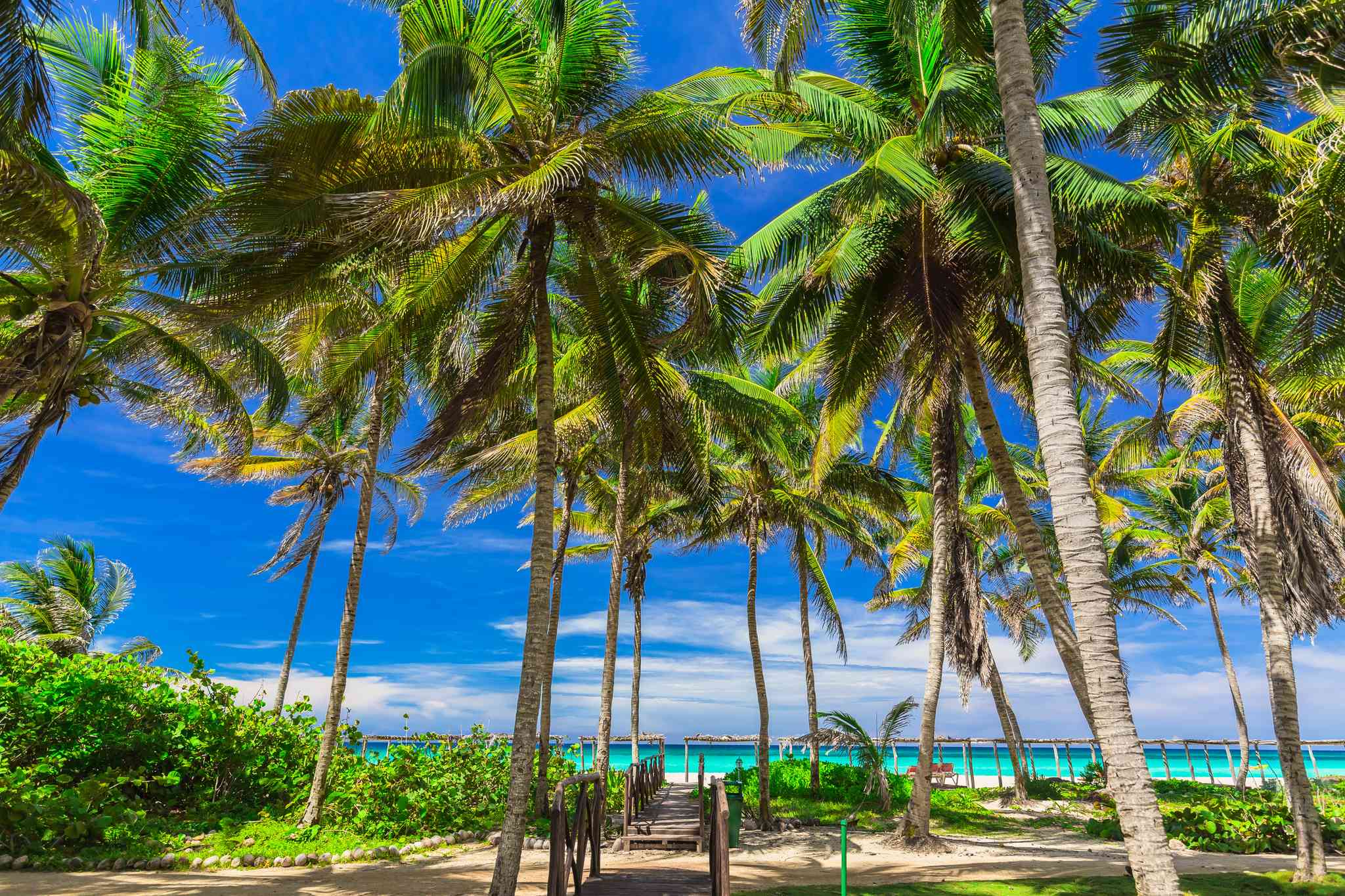 Scenic view of Cayo Coco - private day trip from Havana - photo 2