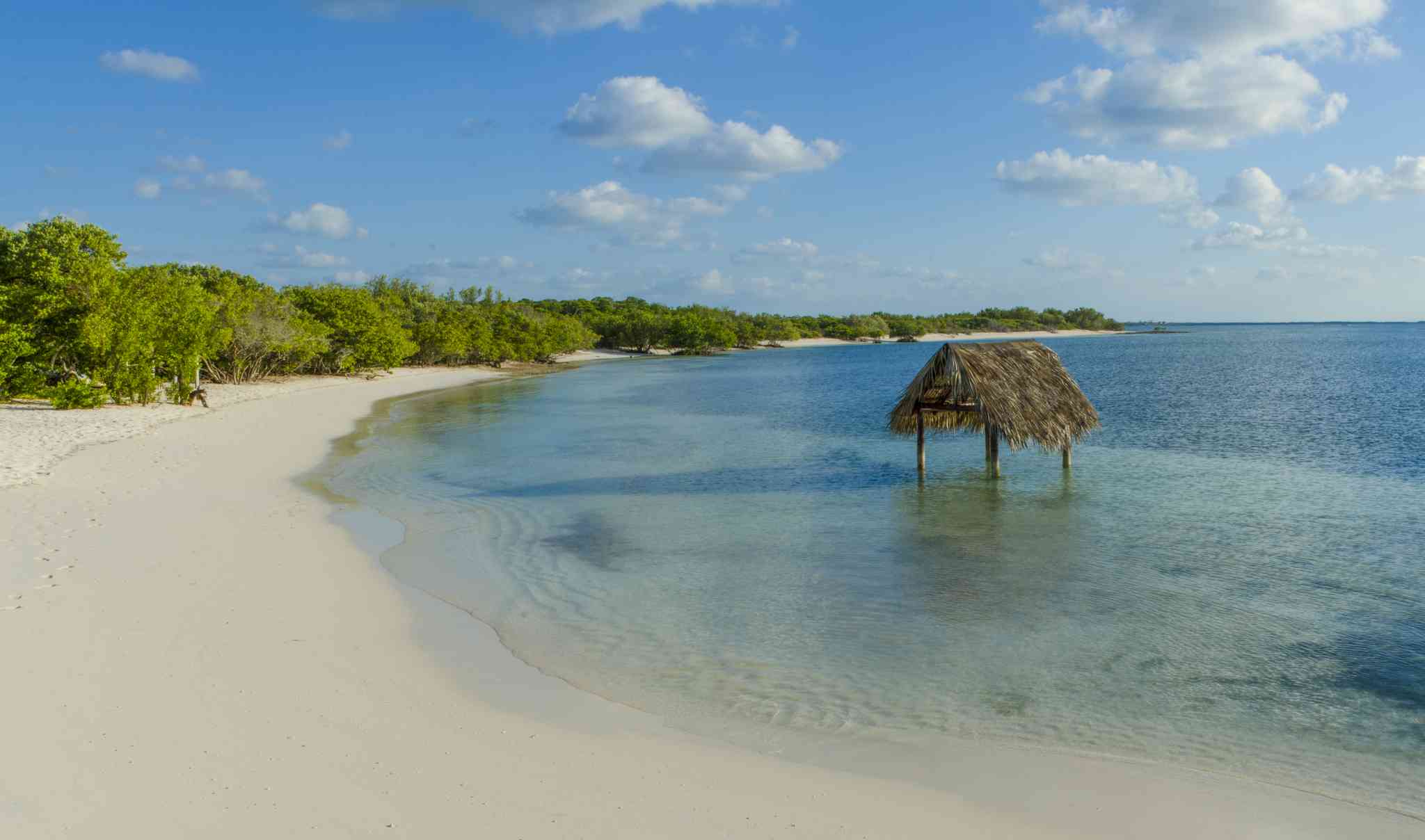 Scenic view of Havana - private day trip from Cayo Santa Maria - photo 6