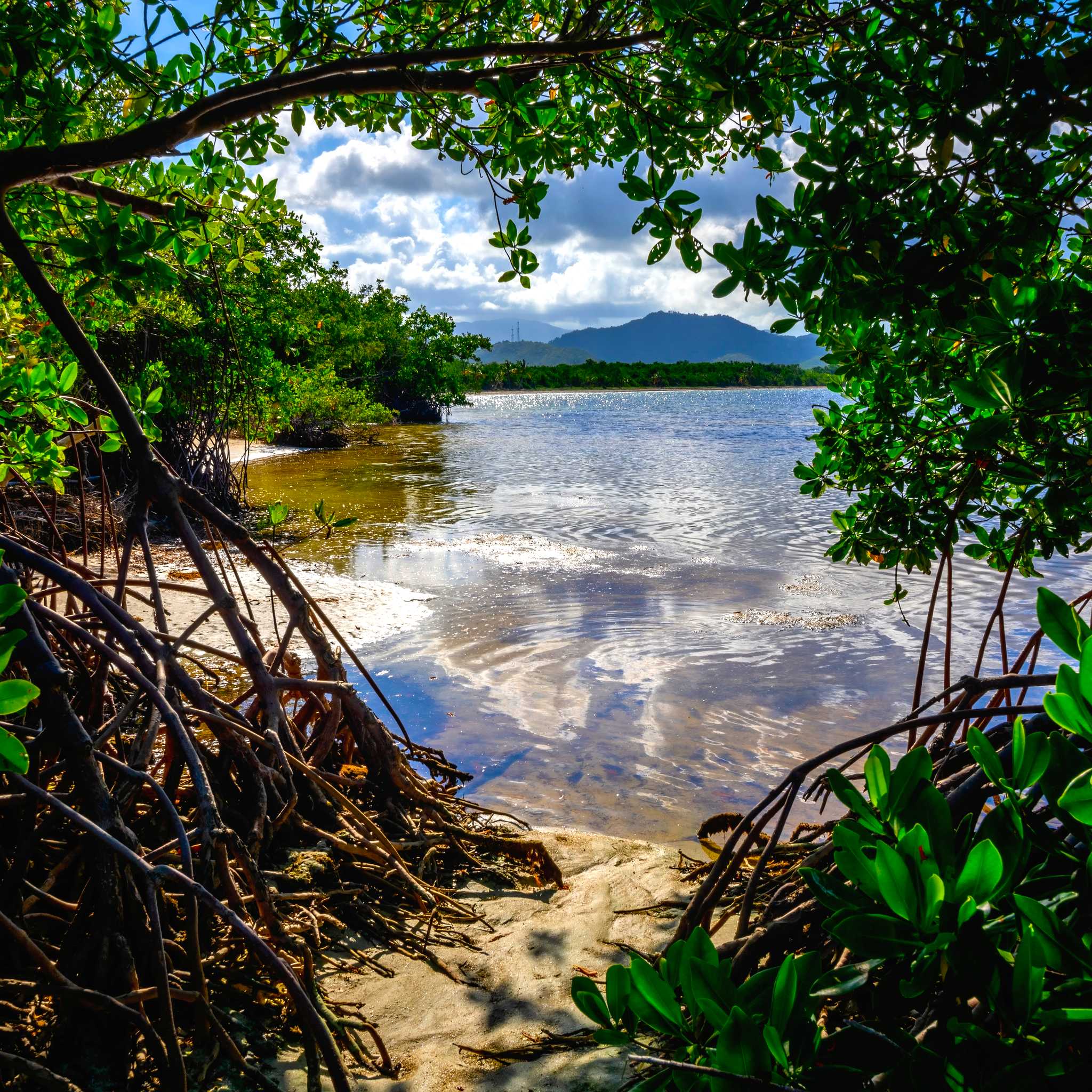 Private car transfers in Puerto Rico from Ceiba