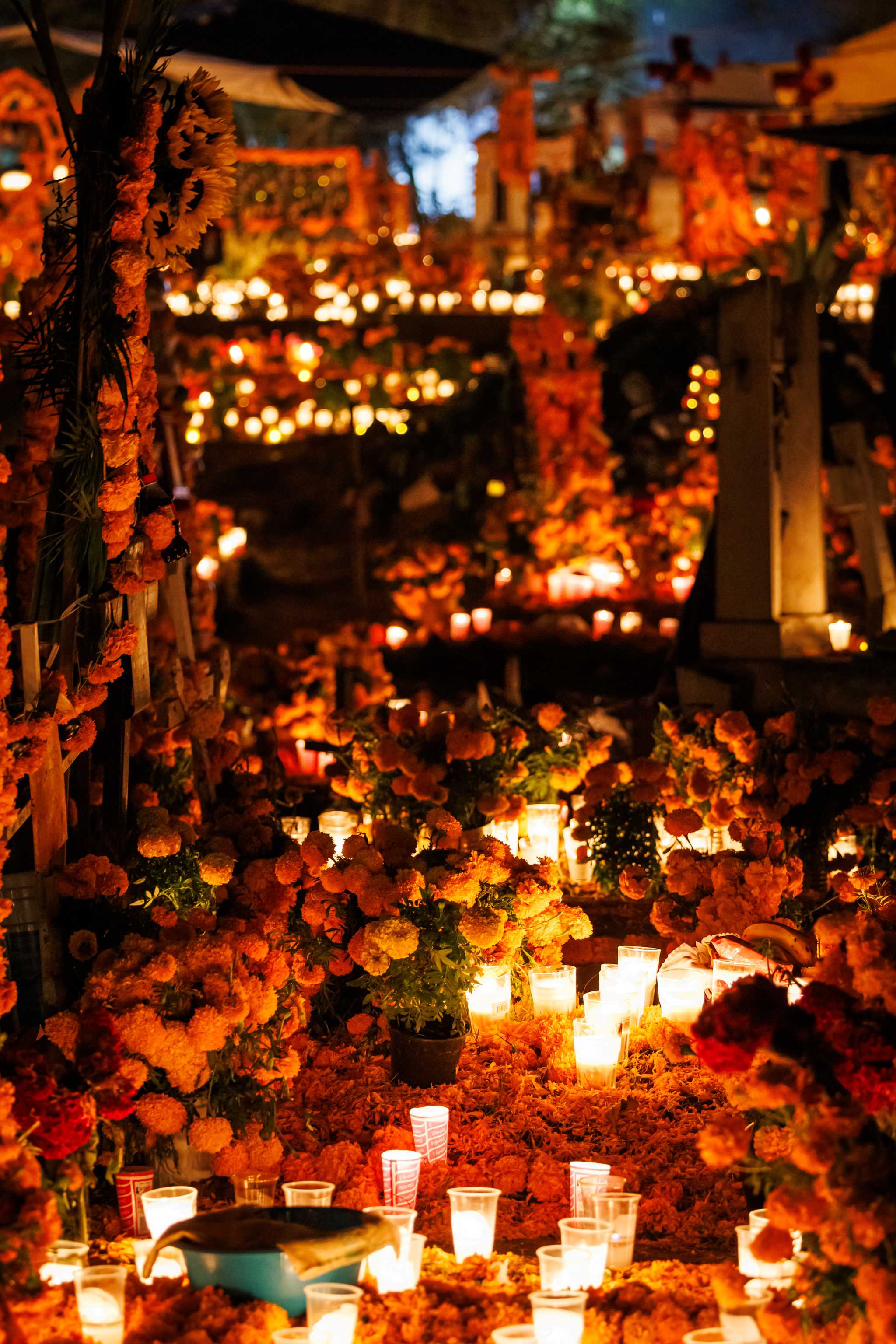 Marigold-covered graves glowing with candles in a cemetery on Día de Muertos.