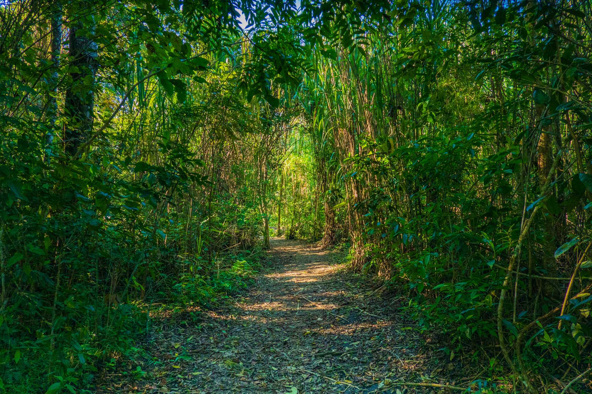 Arrêt de l'itinéraire à Cenote Chaak Tun lors d'une excursion privée d'une journée depuis Puerto Aventuras