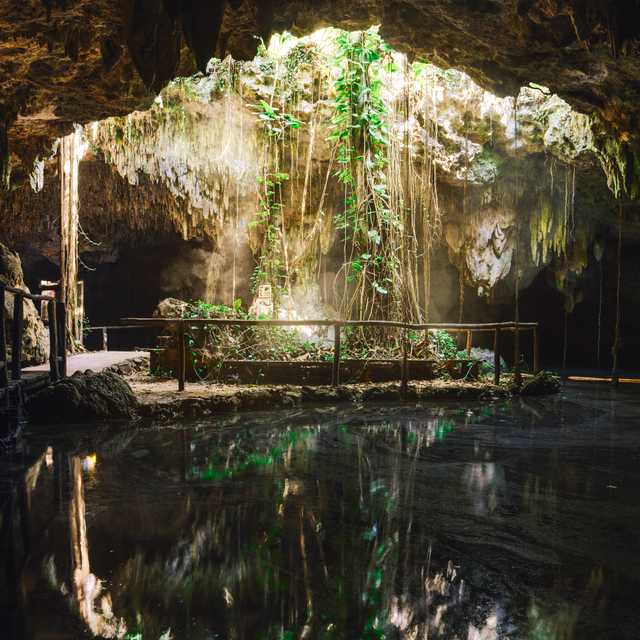 Cancun to Cenotes: Private day trip