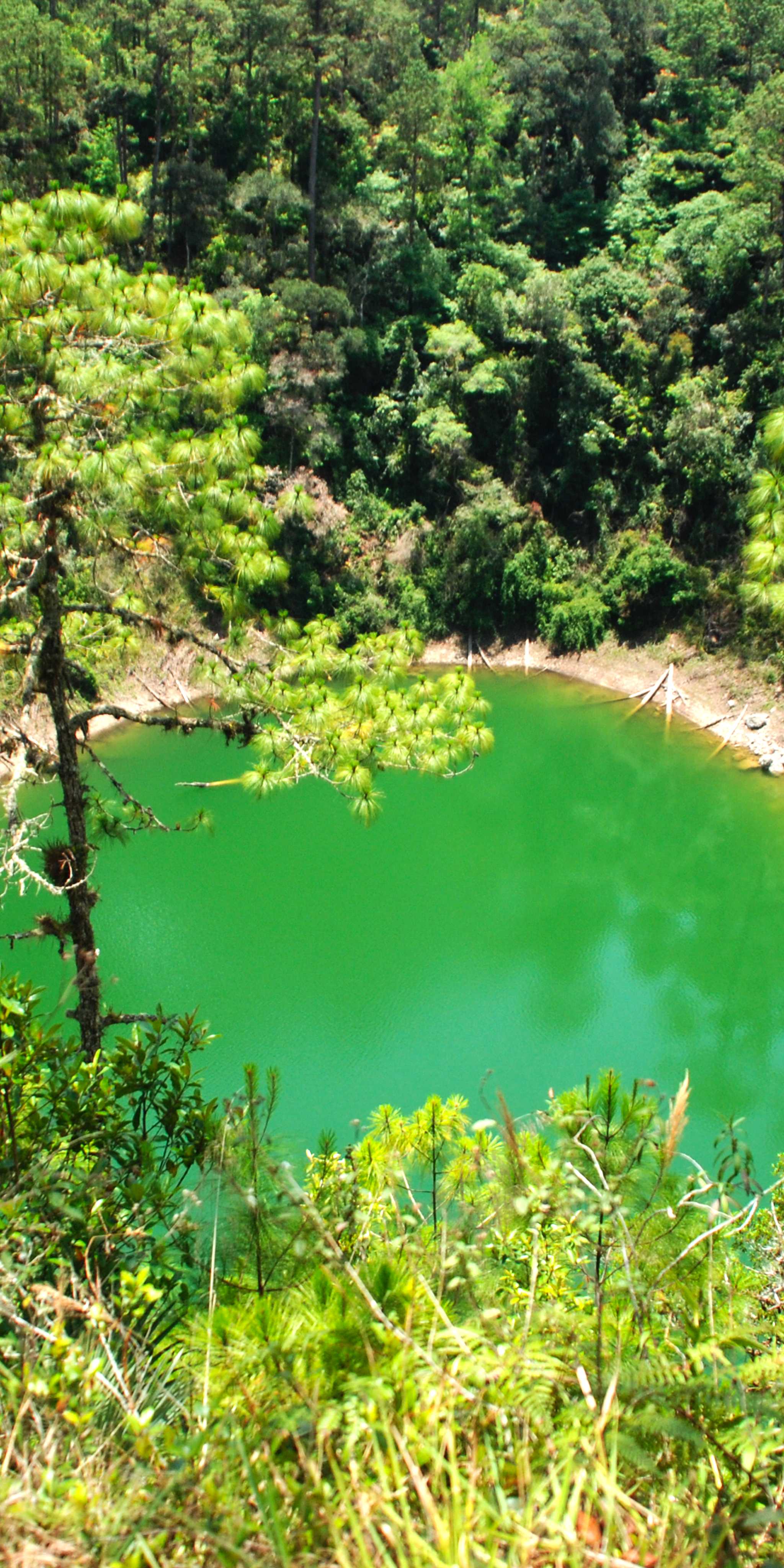 Cenote Miguel Colorado