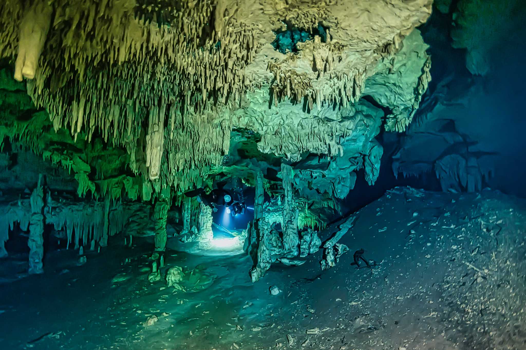 Private car transfer services in Cenote Nohoch Nah Chich - scenic view on Cenote Nohoch Nah Chich in Mexico