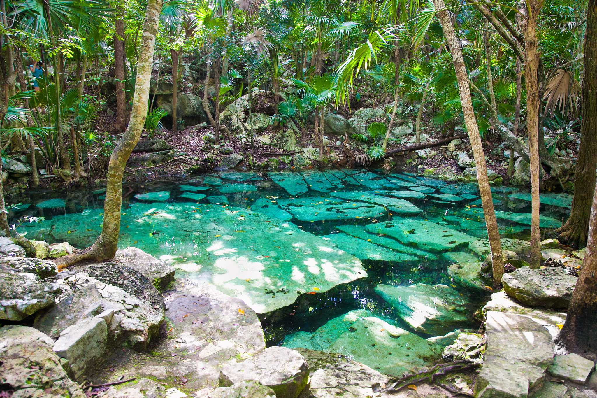 Servicios de traslado en coche privado en Cenote Santa Cruz Tulum - vista panorámica de Cenote Santa Cruz Tulum en México
