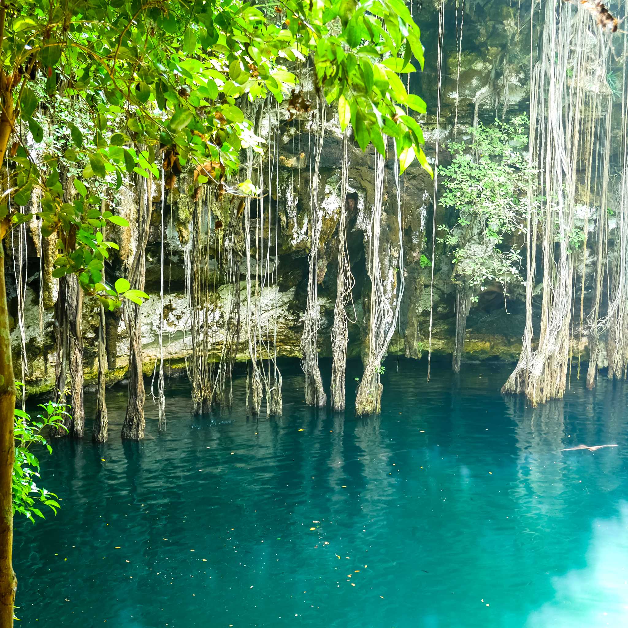 Cenote Yokdzonot