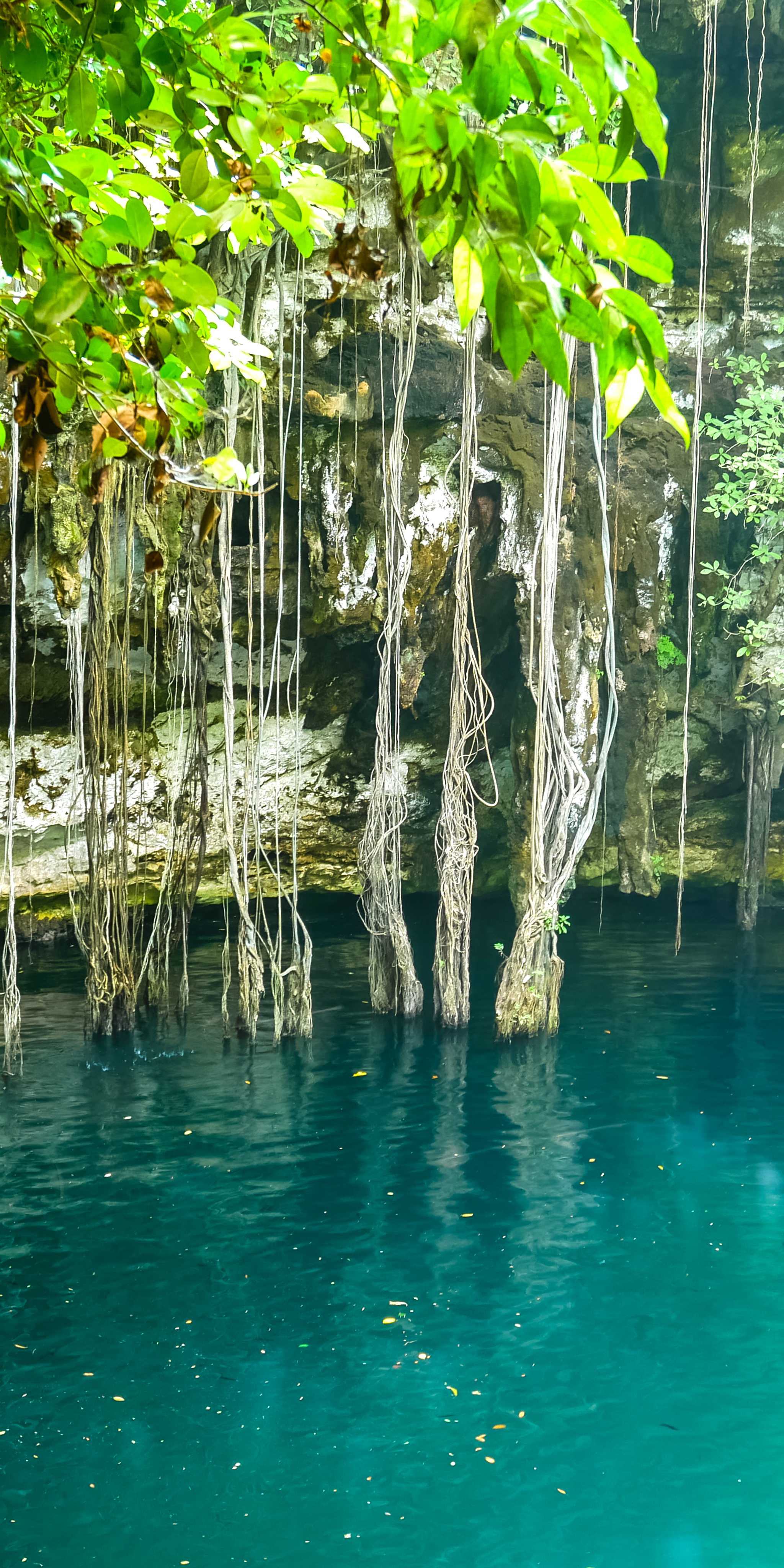 Cenote Yokdzonot
