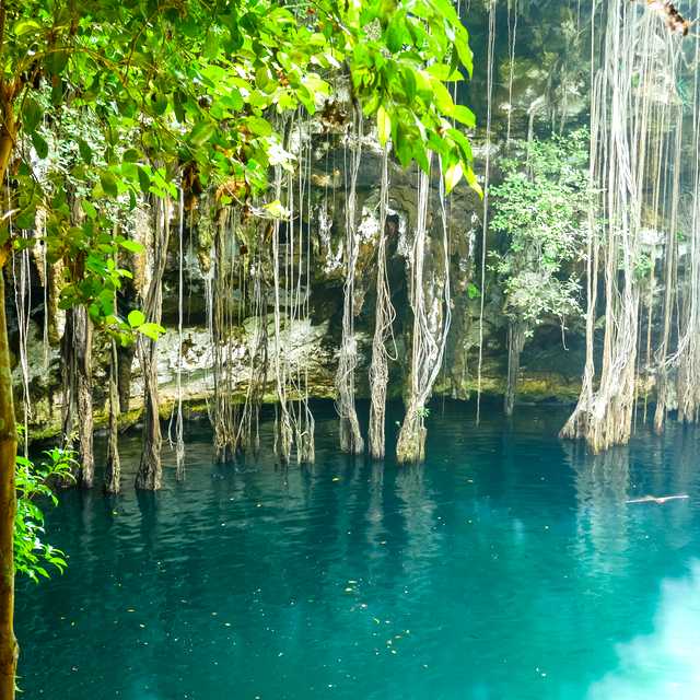 Merida to Cenote Yokdzonot and Coba: Day trip