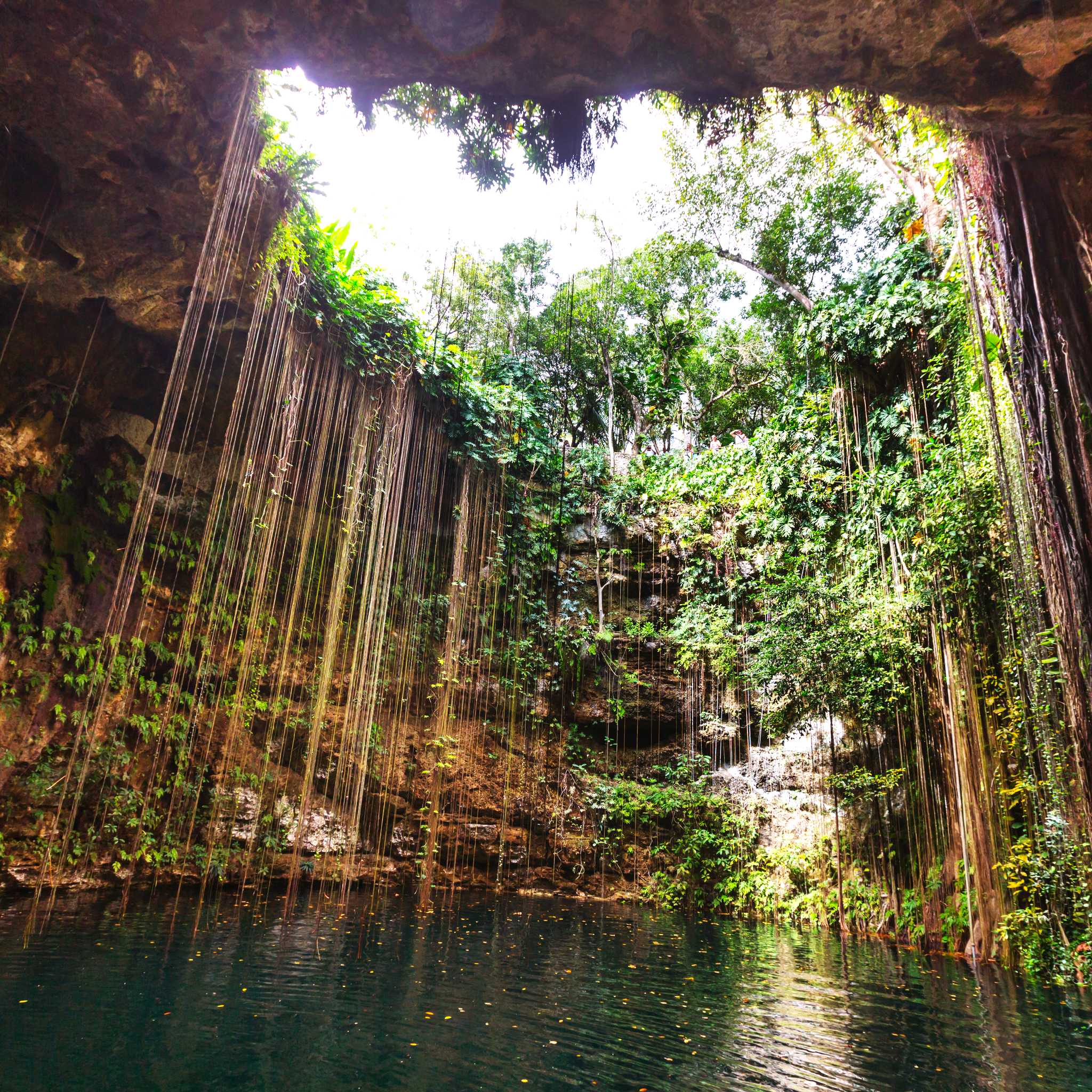 Cenotes Kin-Ha