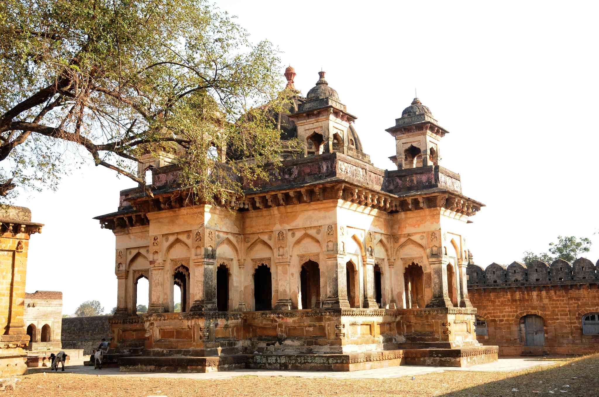 Scenic view of Chandrapur - private day trip from Hyderabad - photo 3