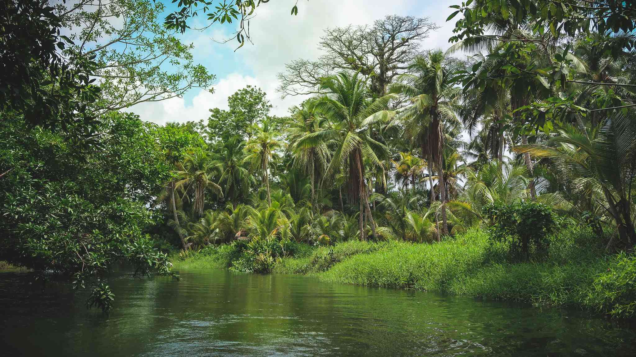 Vue pittoresque de Changuinola - excursion privée d'une journée depuis Panama City - photo 2