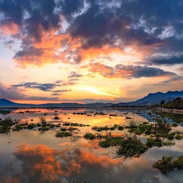 Guadalajara to Chapala and Ajijic: Private day trip