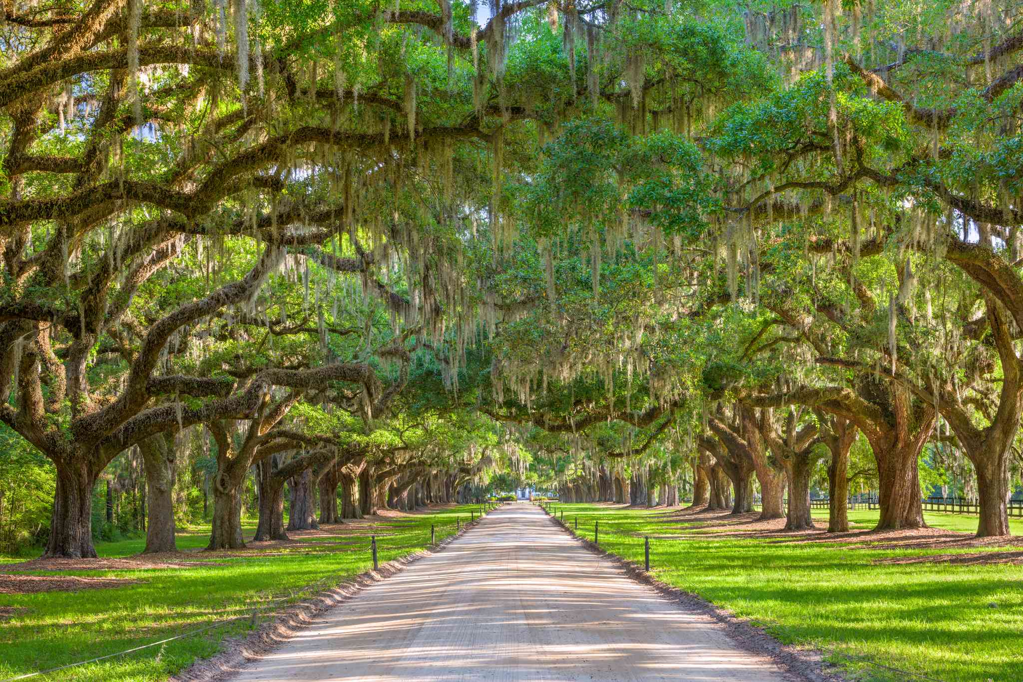 Vue pittoresque de Pensacola, FL - excursion privée d'une journée depuis Charleston, SC - photo 7