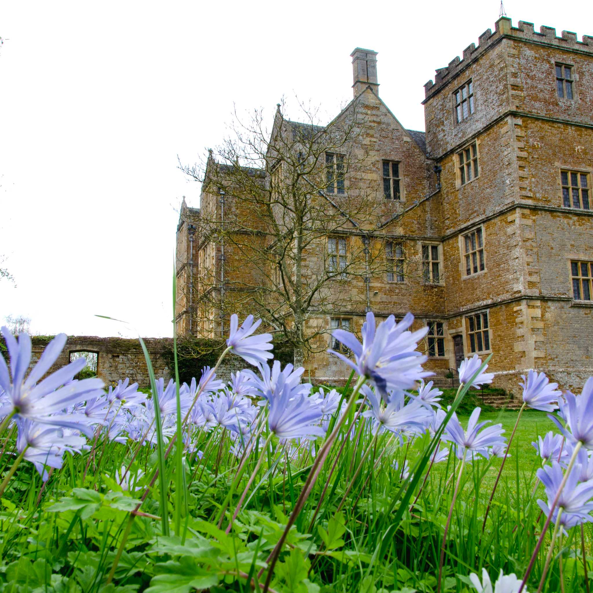 Chastleton House and Garden