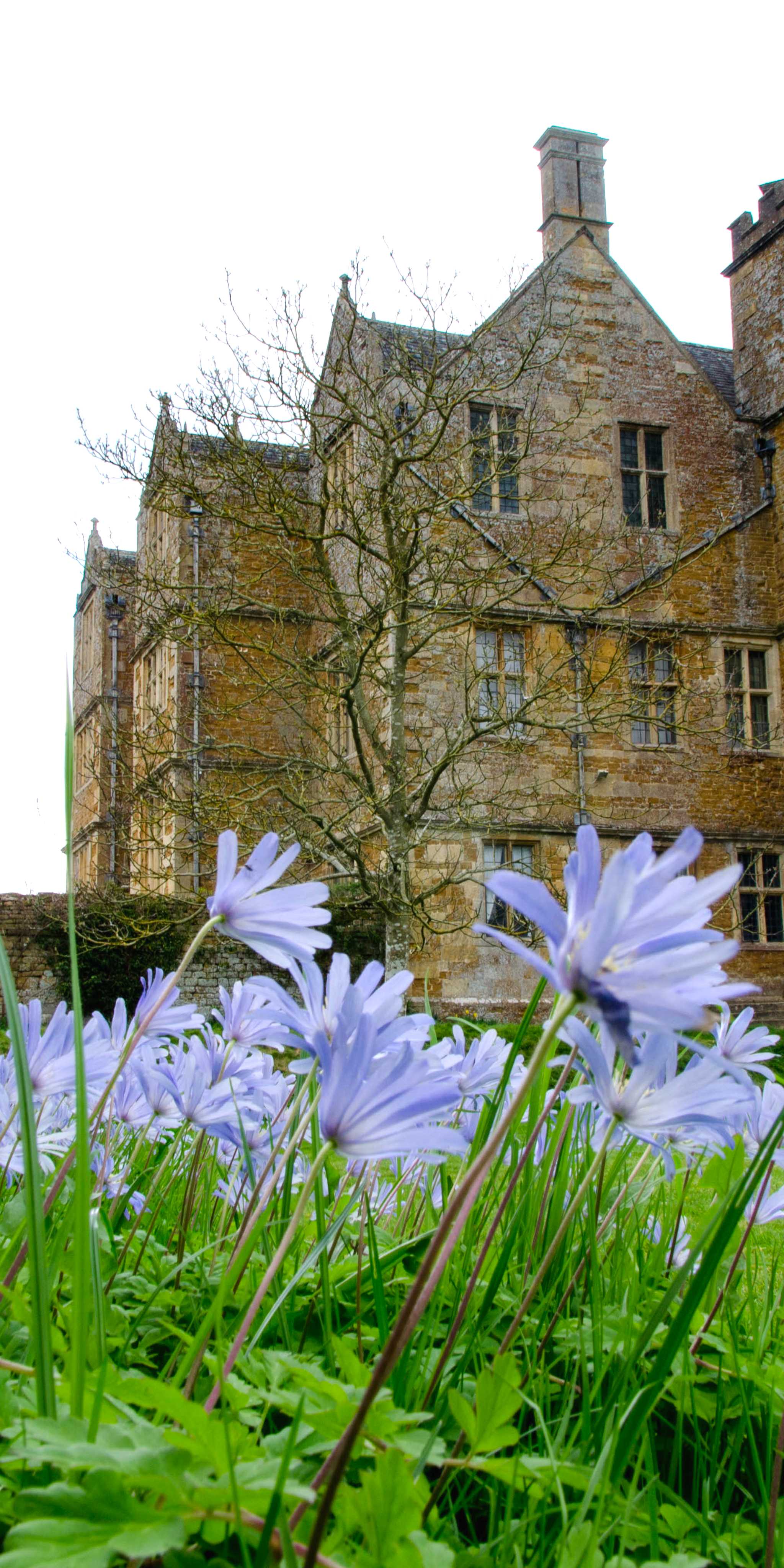 查斯特尔顿房屋与花园