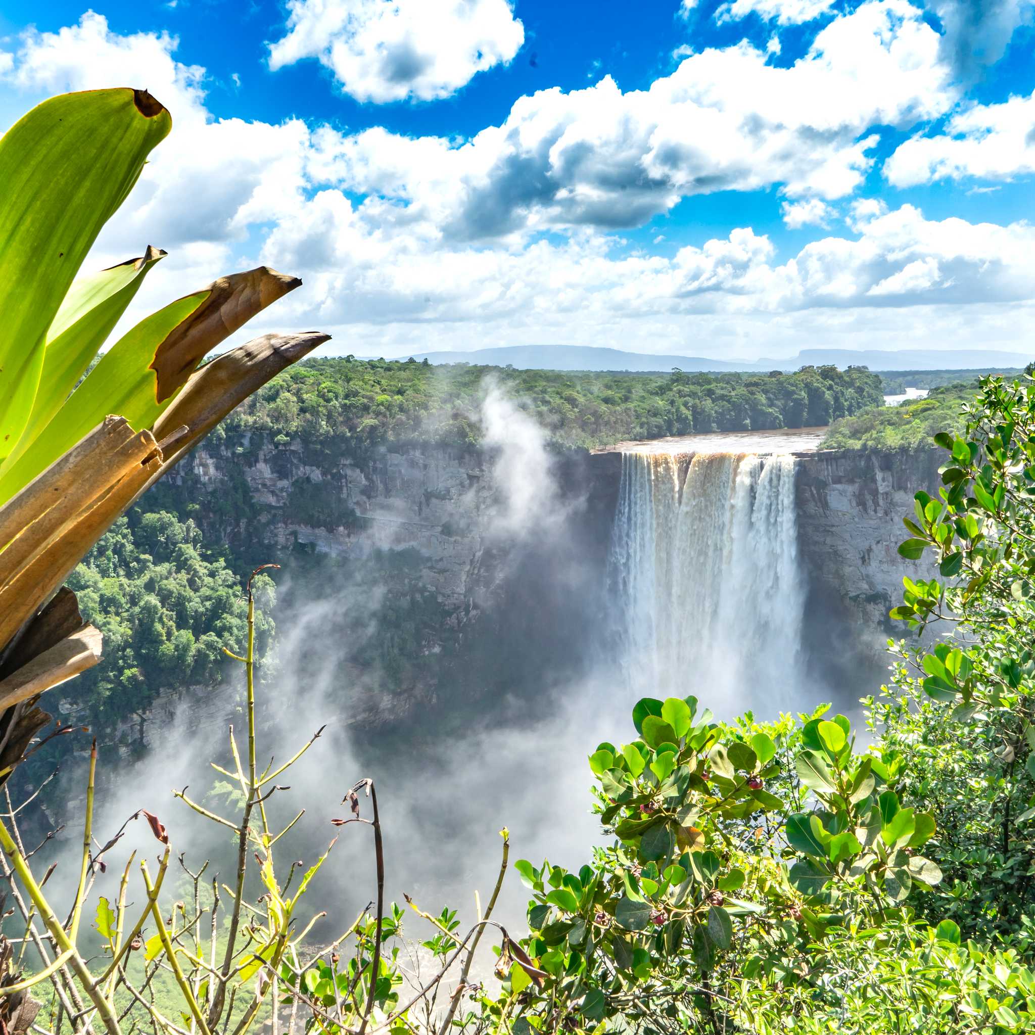 Private car transfers in Guyana from Cheddi Jagan International Airport