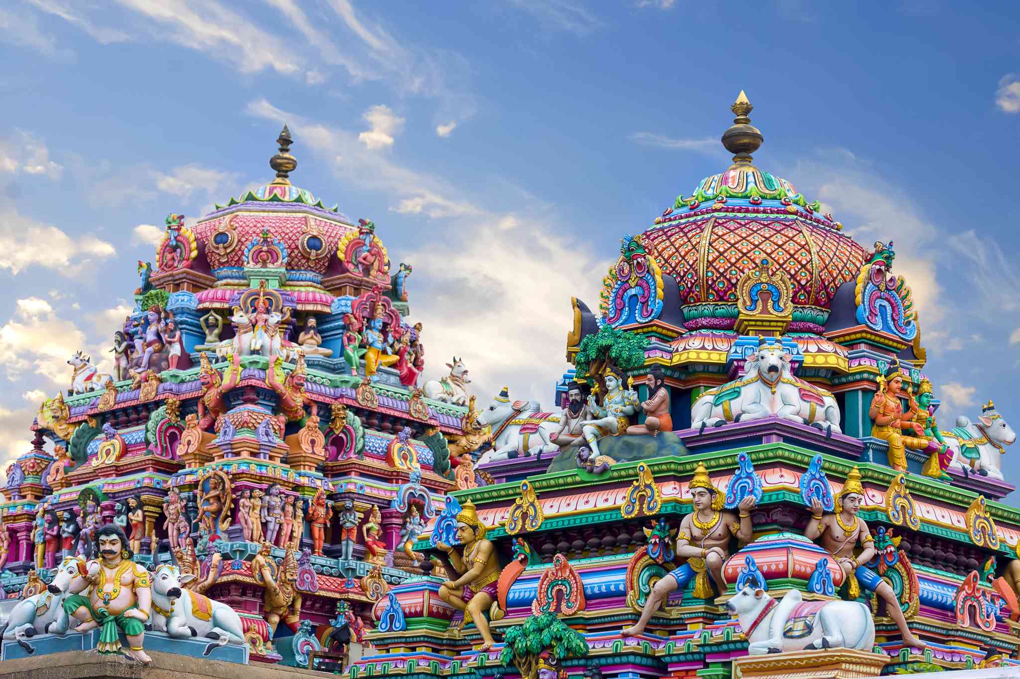 Chennai 的风景 - 从 Coimbatore 出发的私人 一日游 - 照片 2