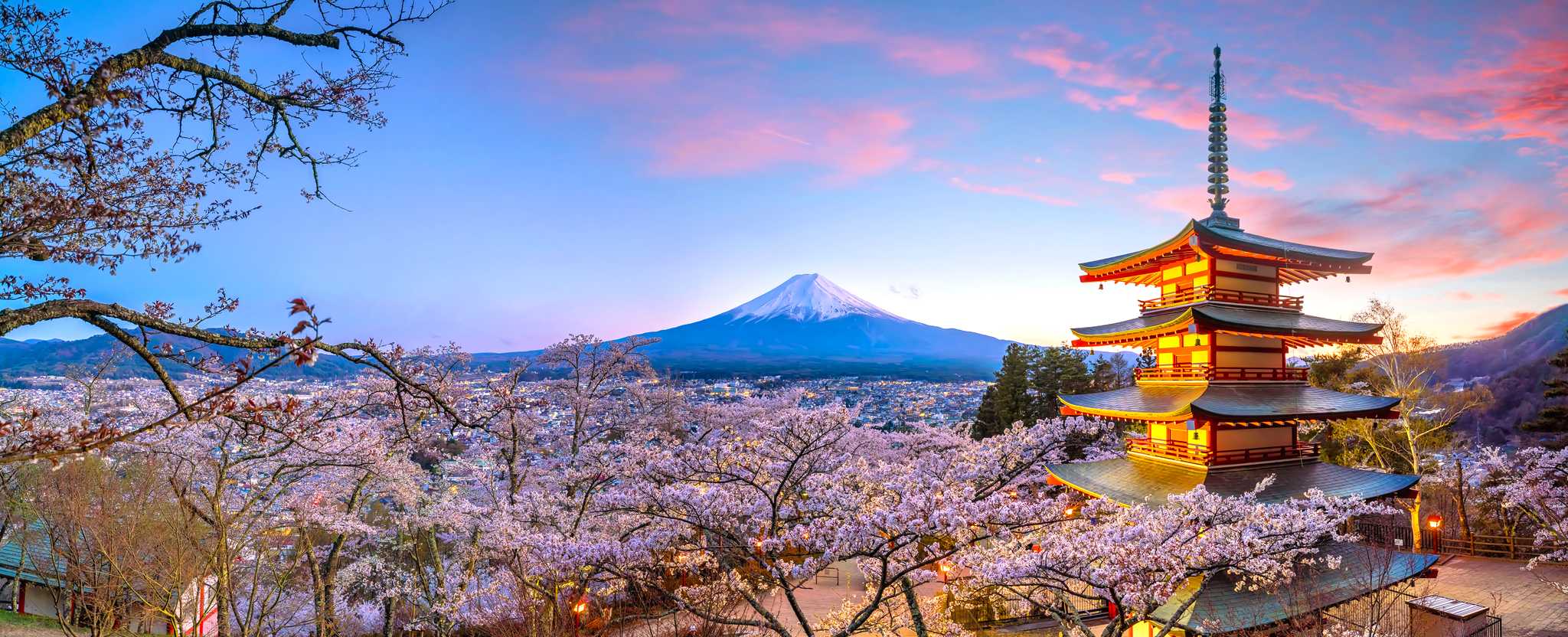 Scenic cherry blossom spring escapes